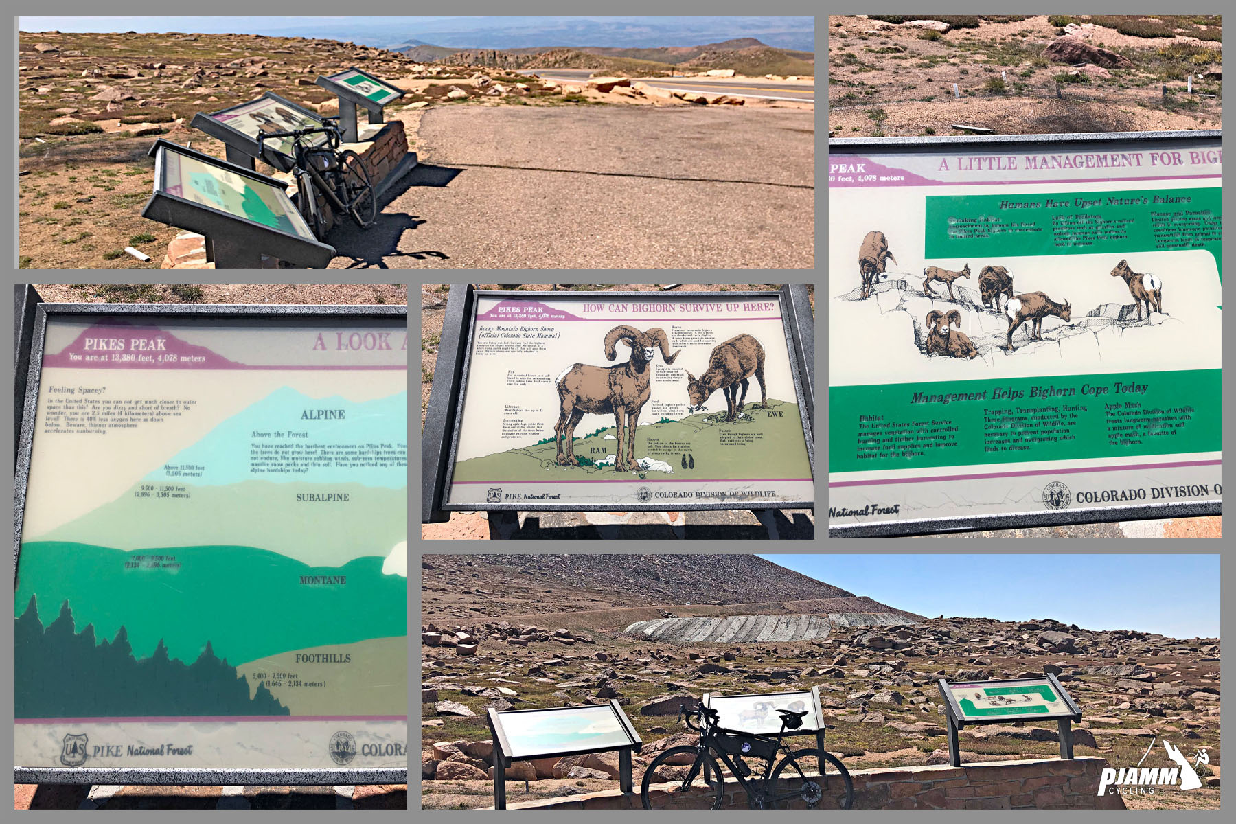 Cycling Pikes Peak - PJAMM Cycling logo in corner, viewpoint near summit with informational signs with info about climate zones and wildlife
