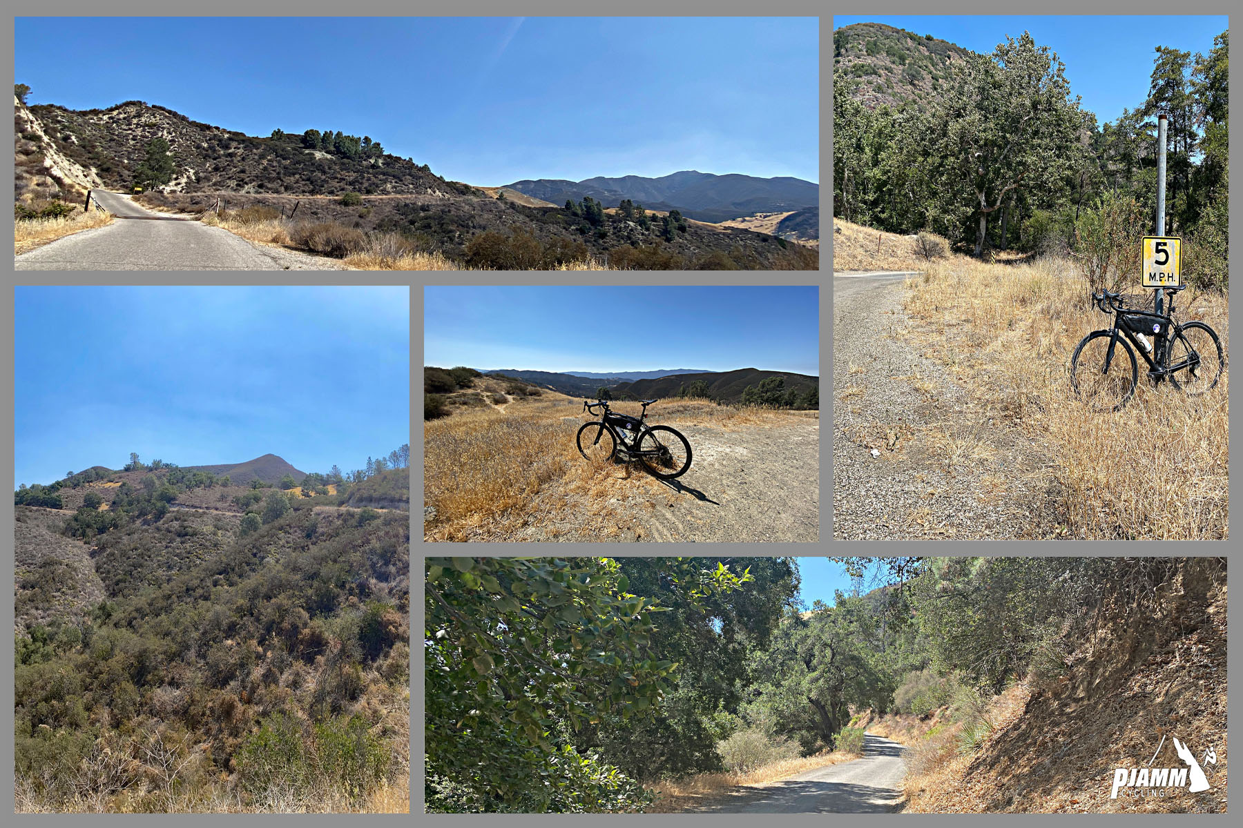 photo collage shows Los Padres National Forest landscape, dry brush and grass 