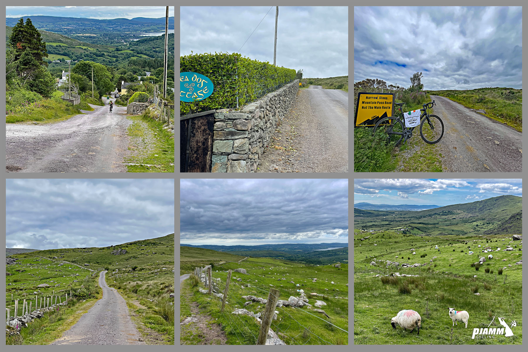 photo collage shows the sheep grazing in pastures along road, narrow, one-lane mountain road, Steep Road sign