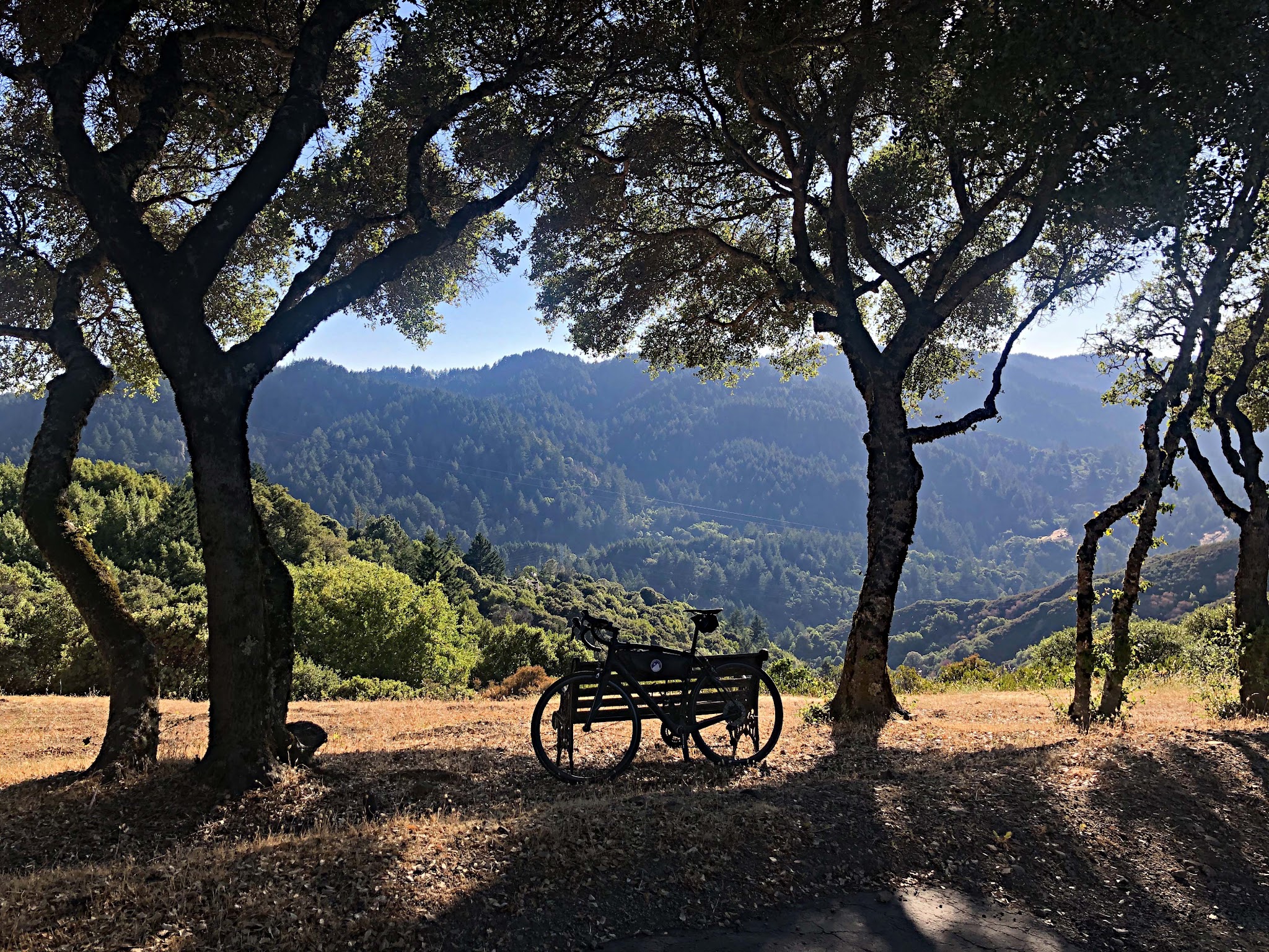 Cycling Bohlman On Orbit - bike parked next to bench under large oak trees in the valley at golden hour, looking toward dense tree-covered hillsides