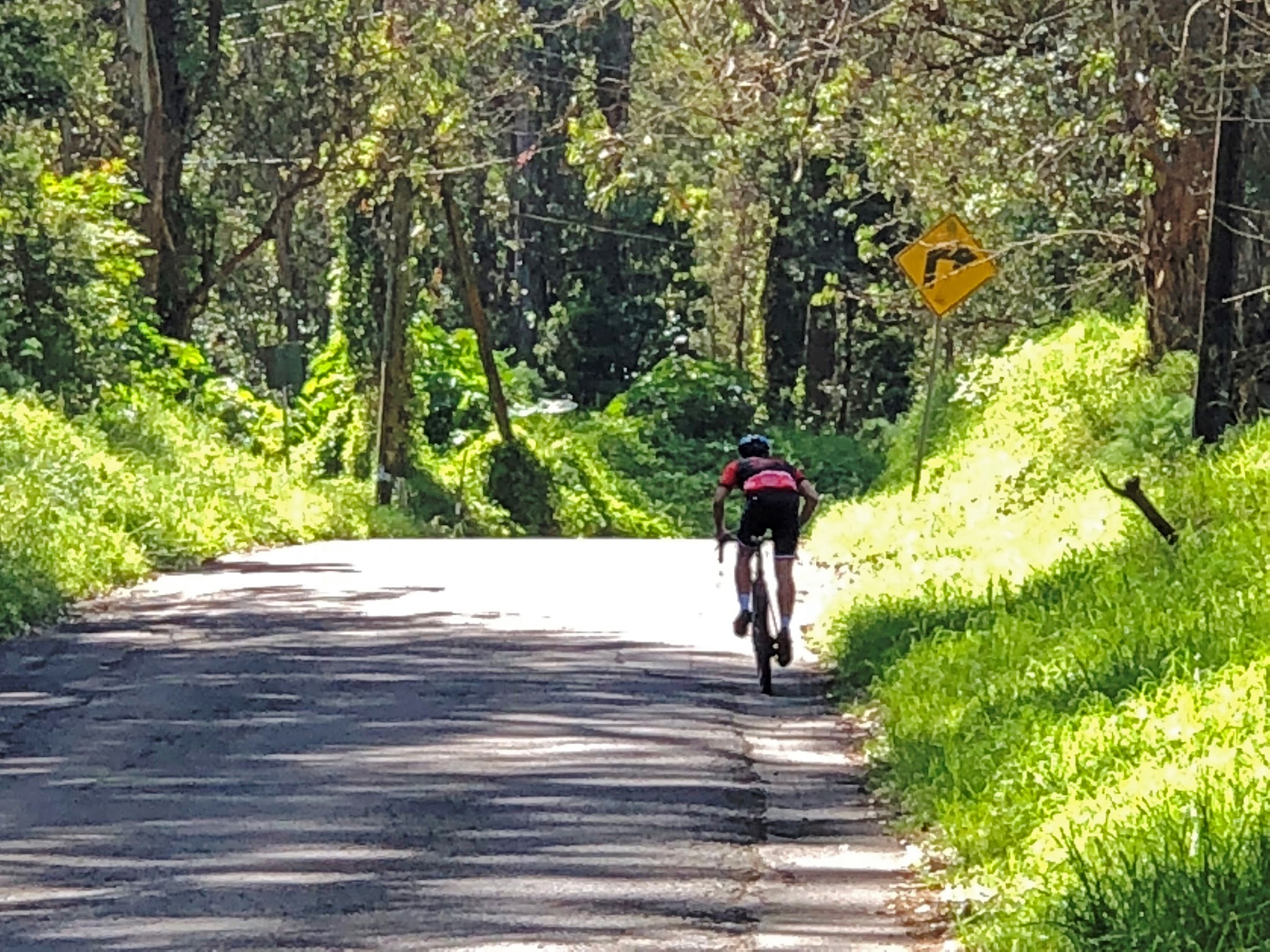 Cyclists climbing steep section of Waipoli Road by bike.