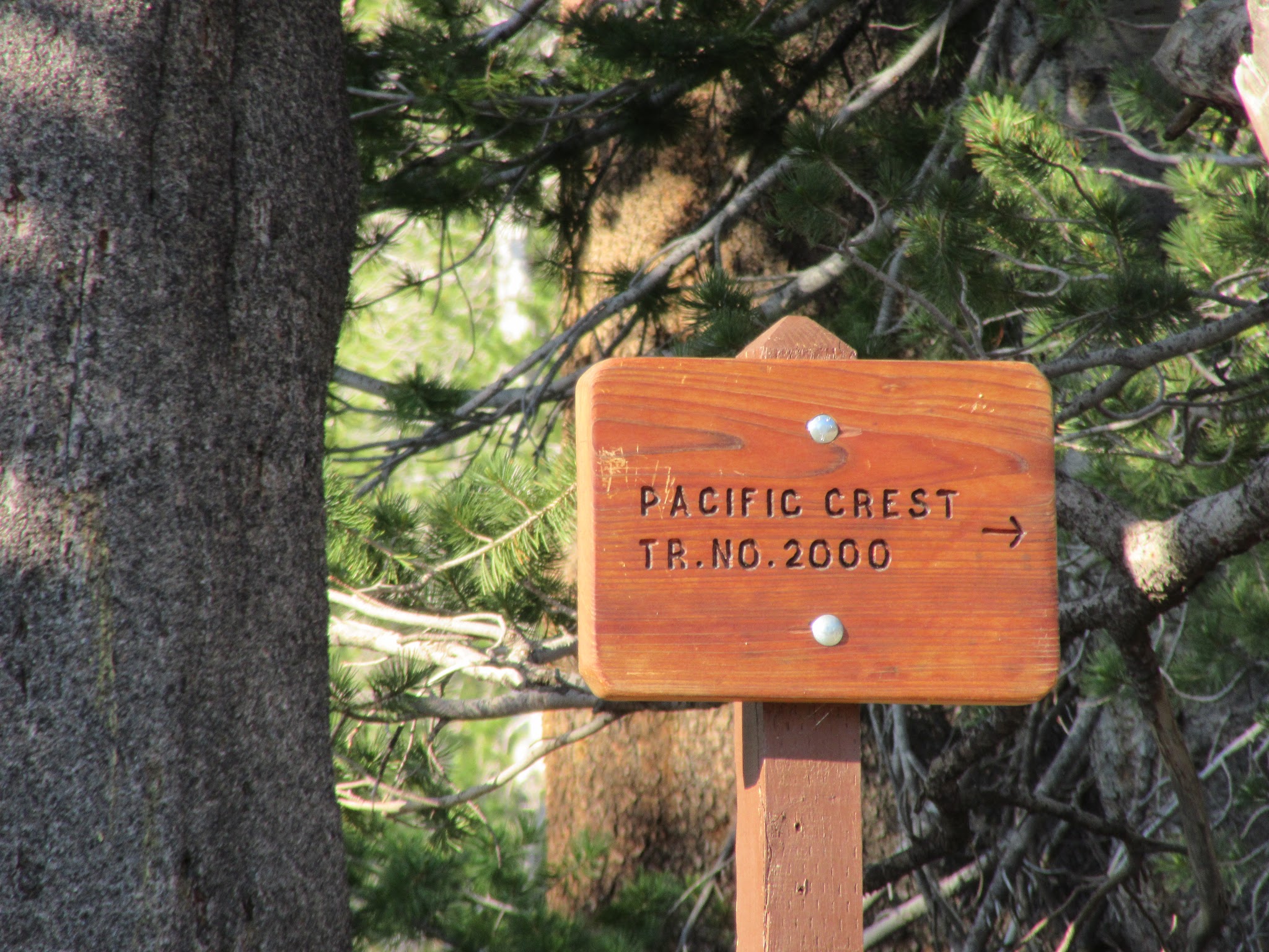 Biking Sonora Pass West - Pacific Coast Trail sign