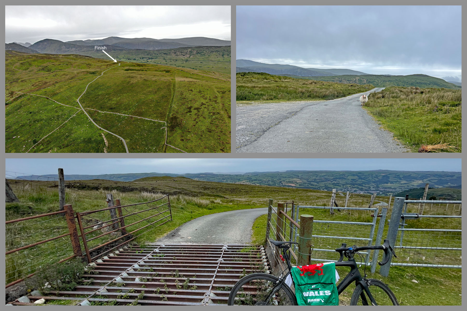 Cycling The Cowlyd, Wales cattle guard at climb finish
