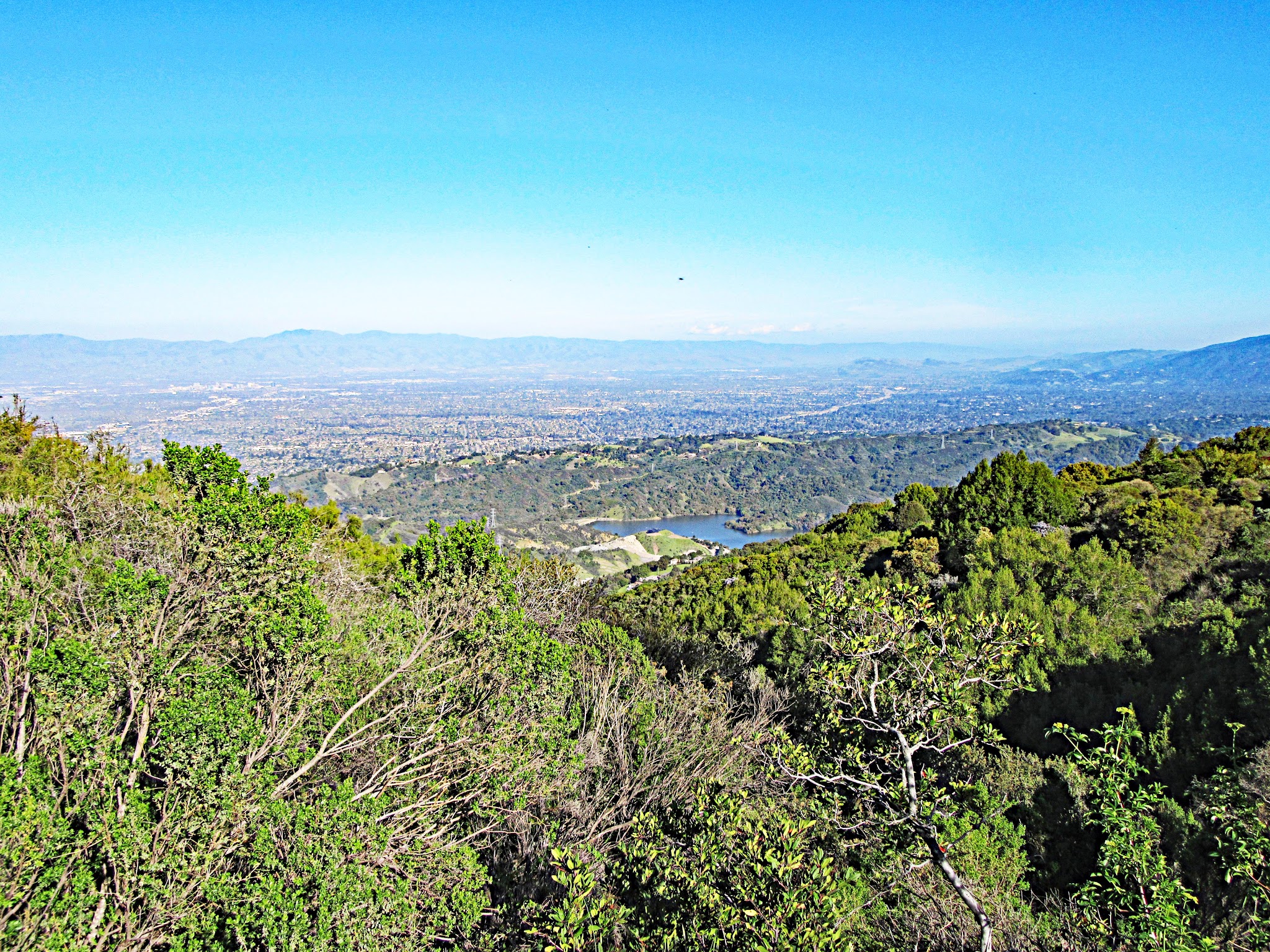 Cycling Montebello, Santa Cruz Mountains, California - View from hillside looking out over Stevens Crrek Reservoir and Mt. Hamilton