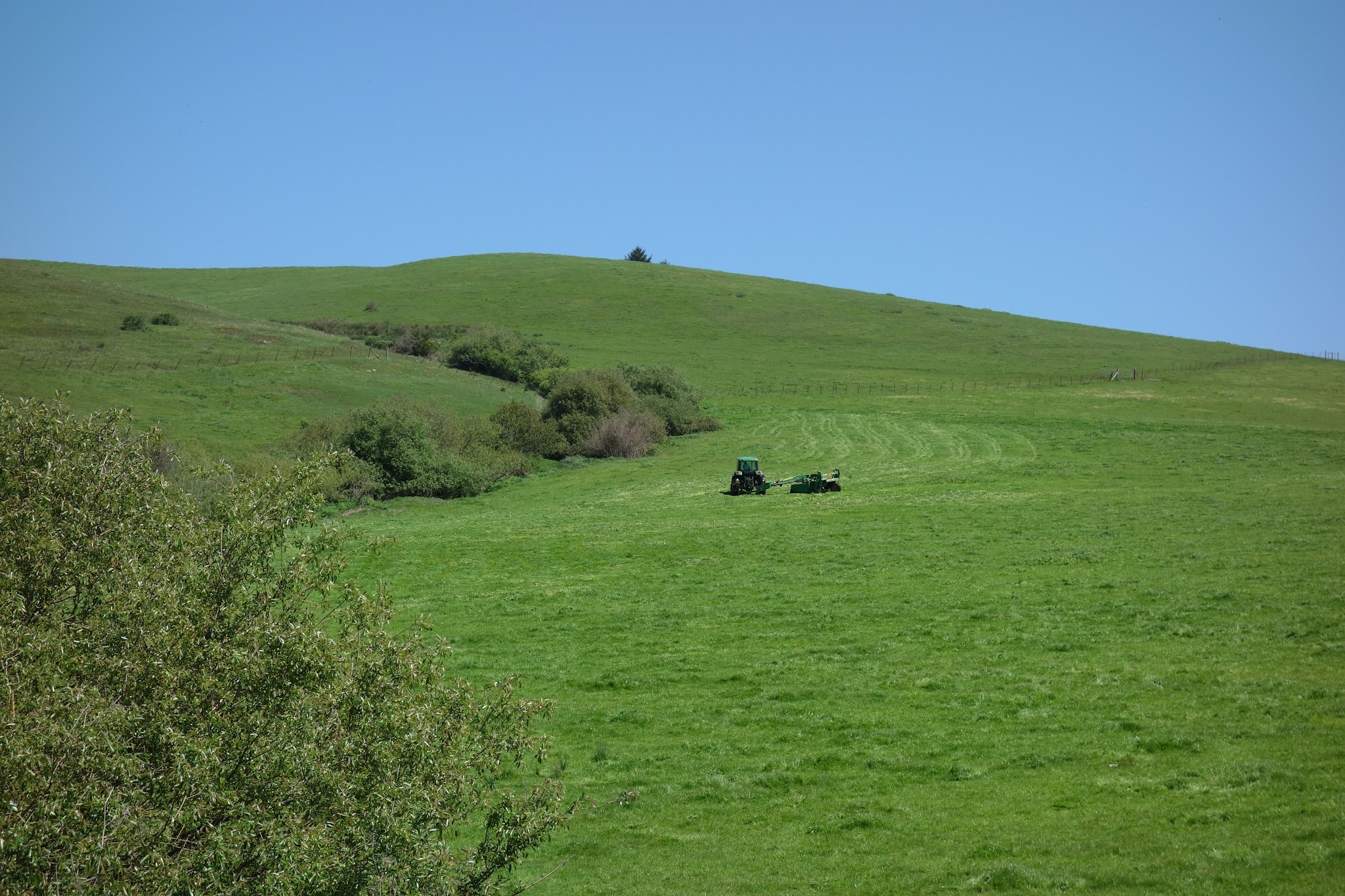 DSC00995.JPG