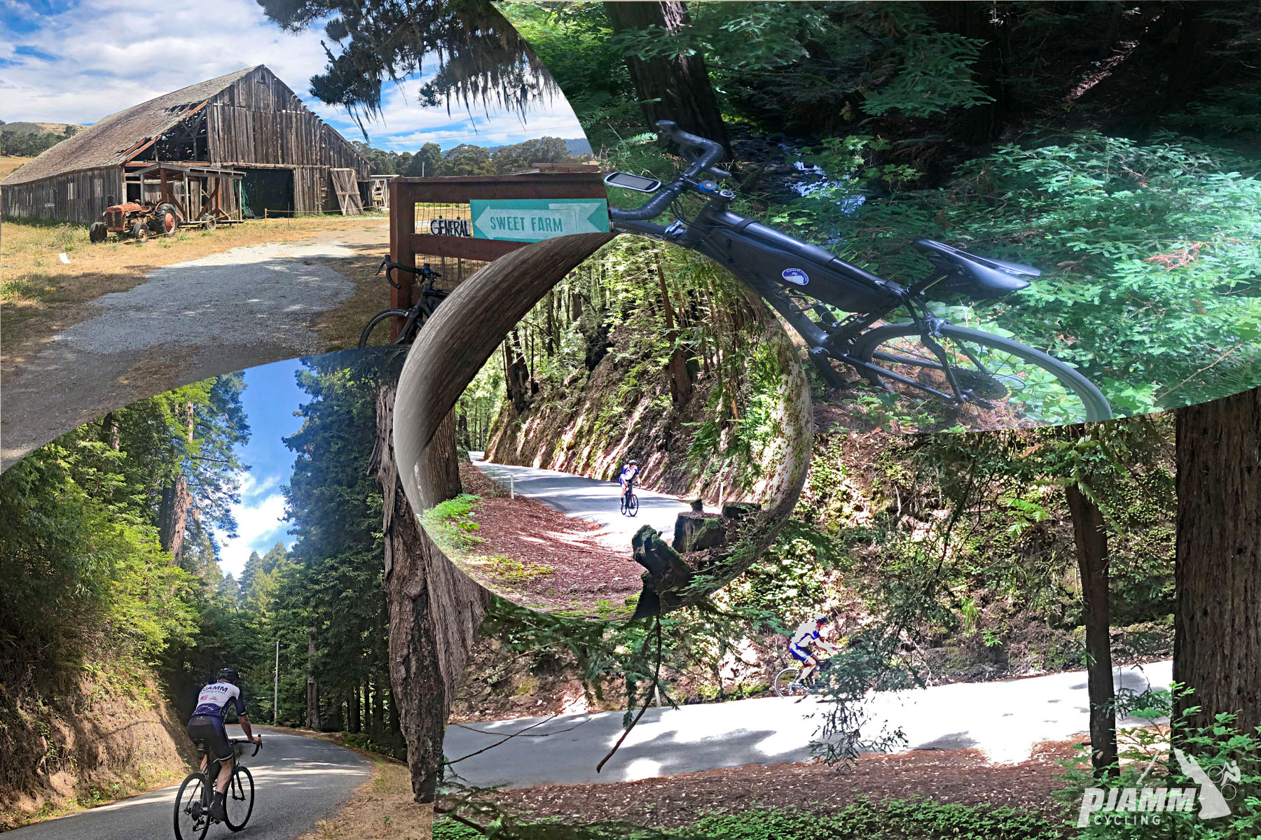 Cycling Tunitas Creek Road - photo collage, old brown barn with tractor in front, bicycle sitting among ferns, cyclist on road surrounded by redwood trees