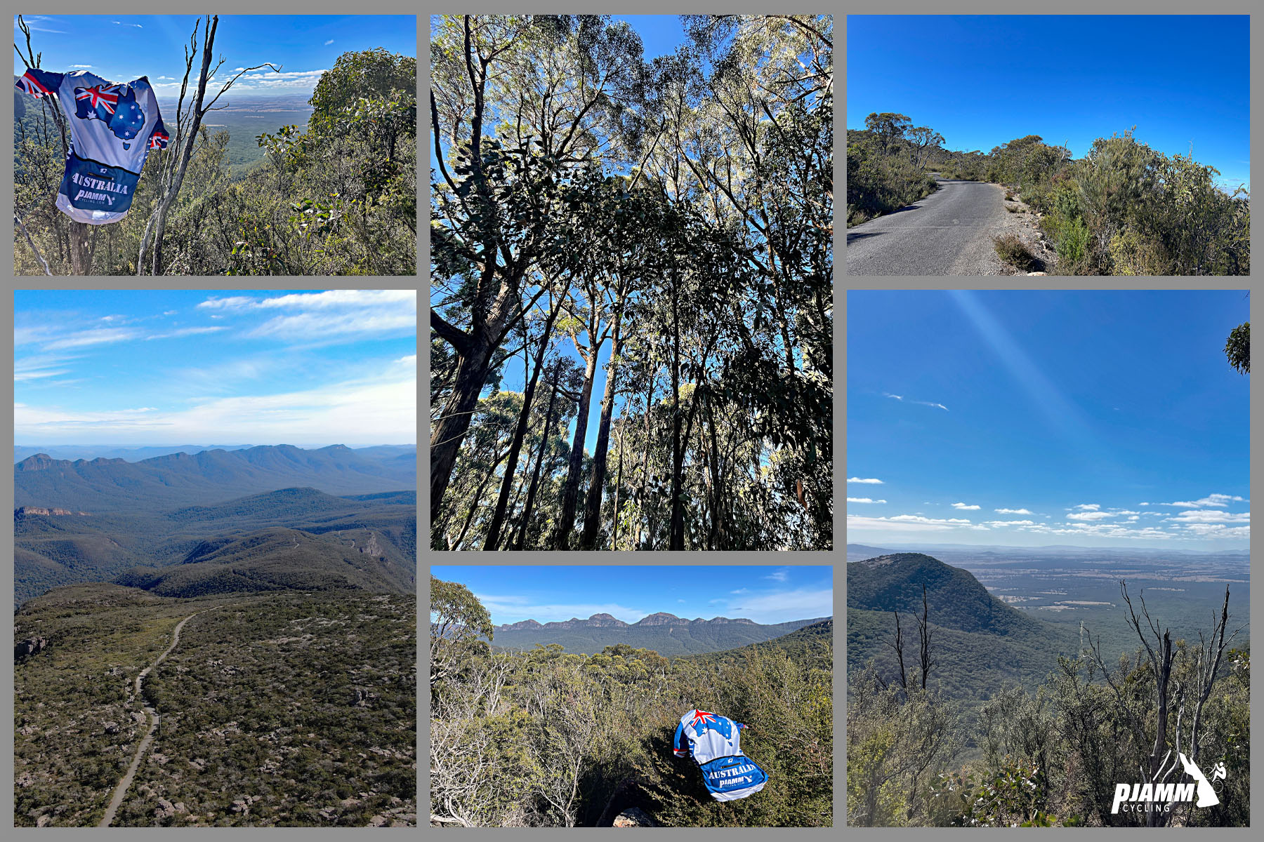 photo collage; PJAMM Cycling logo in corner views of tree tunnel and mountain range on Mt. William Cycling climb
