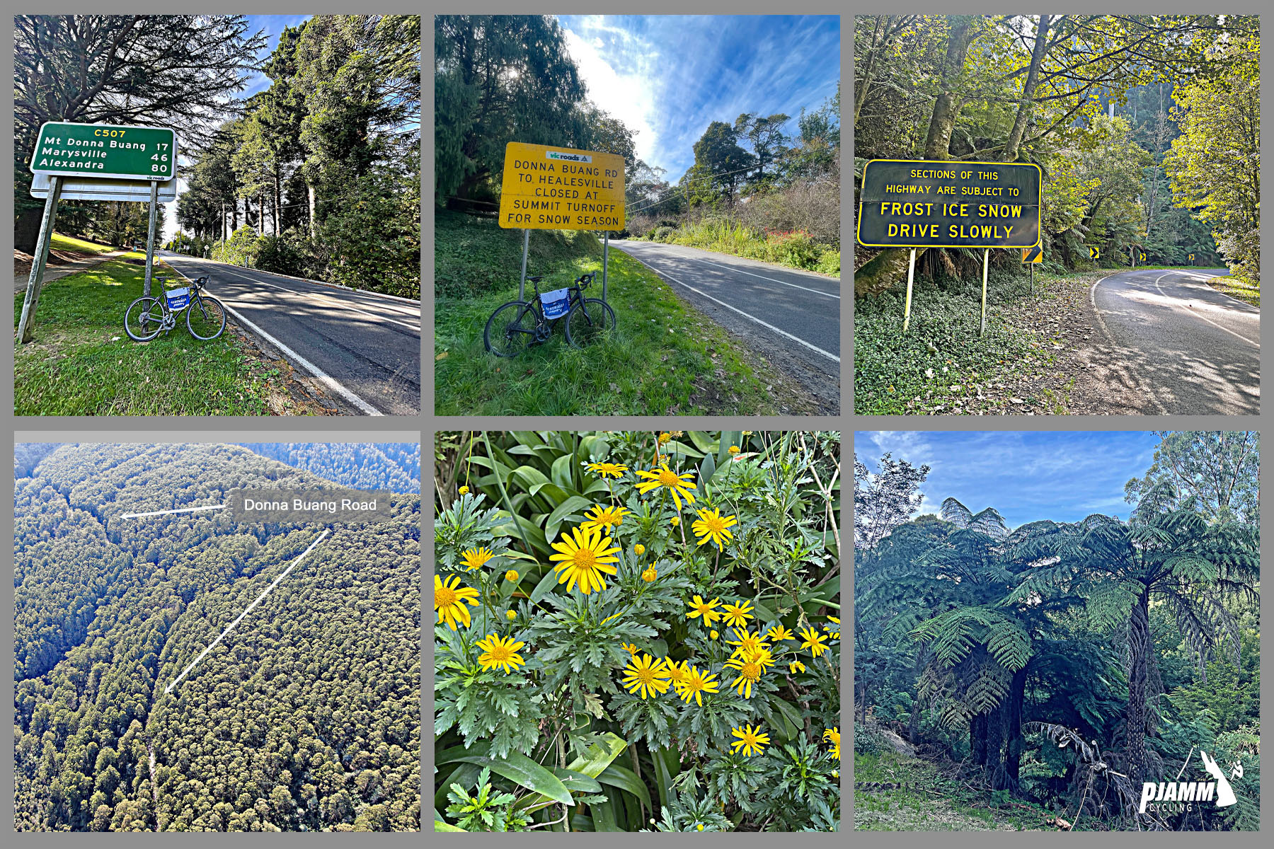 Cycling Donna Buang, Victoria, Australia photo collage shows beautiful flowers, tropical trees, and thick forestation; signs read Mt Donna Buang