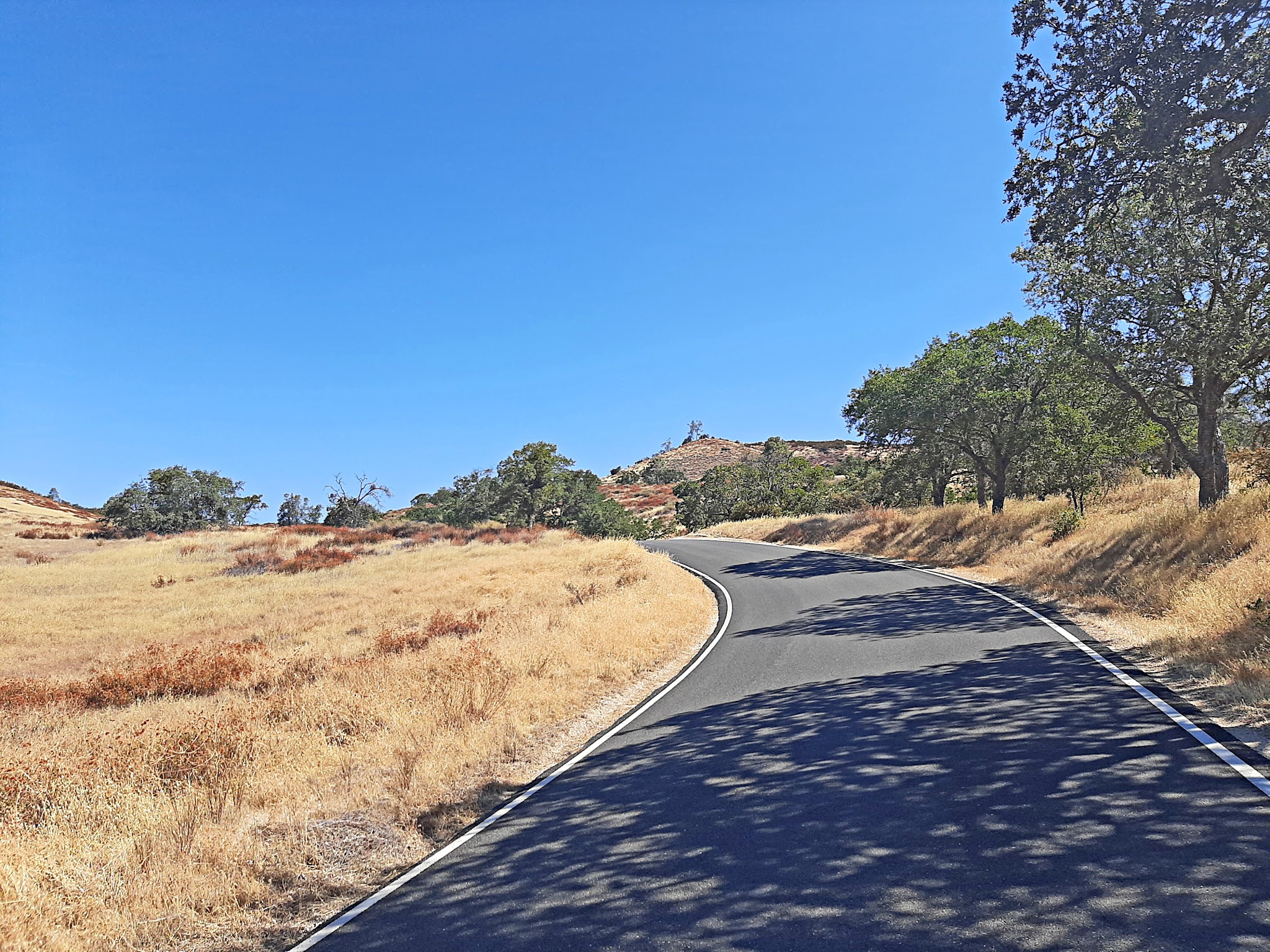 Cycling Pinnacles National Park, California - one-lane road with pristine pavement, surrounded by brown grasses and oak trees