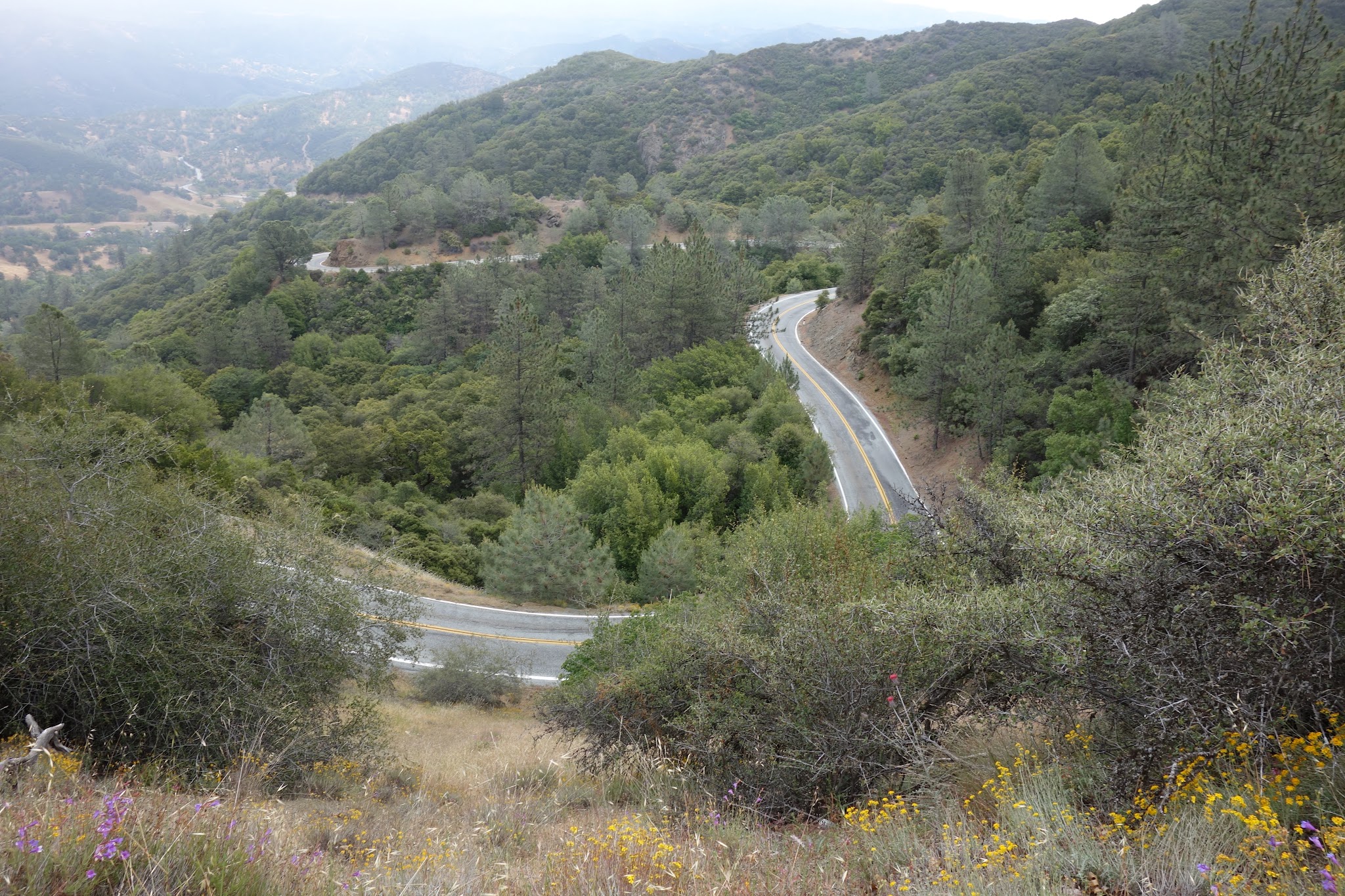 Curvy roadway on climb up Mt. Hamilton east to Lick Observatory Silicon Valley