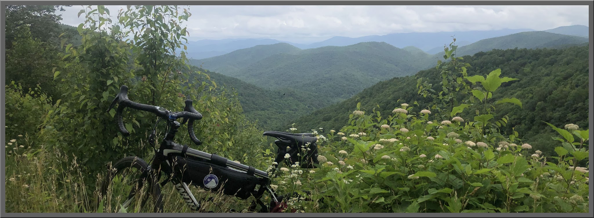 Cycling Hogpen Gap East - road bike with PJAMM Cycling jersey laid out over seat, bike leaning against wooden railing, overlooking lush green ridge lines and mountainside with wildflowers