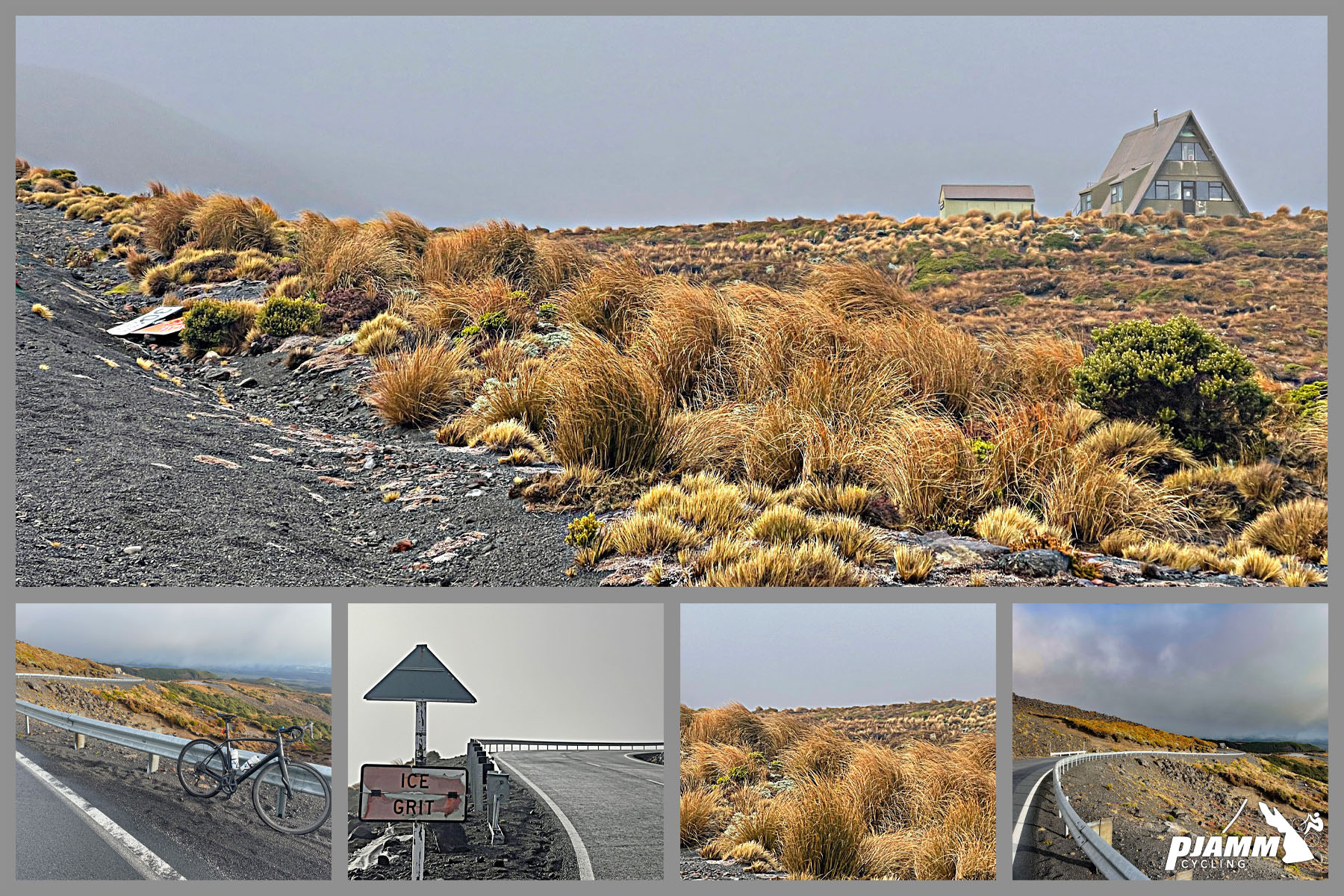 dry brush above tree line on Mount Ruapehu volcano