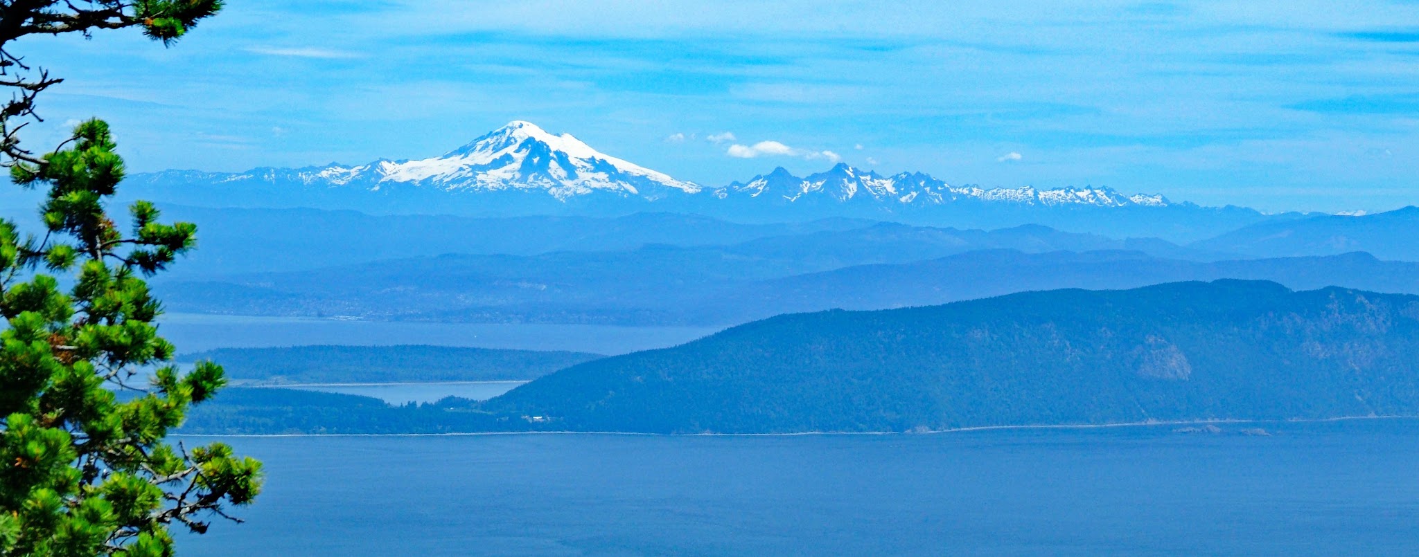 panoramic view of Washington Mountains, Puget sound, and evergreen tree branches in foreground