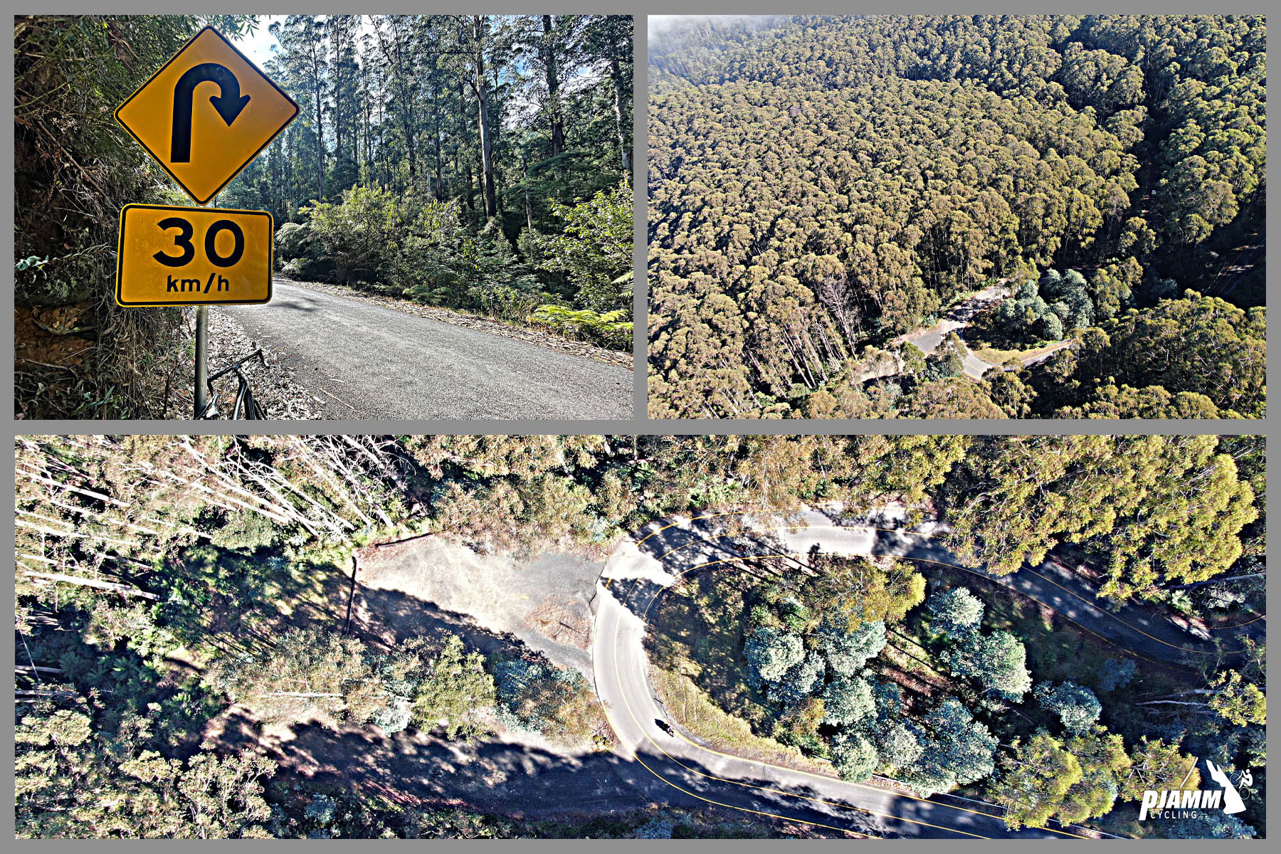 photo collage shows hairpin turn in densely forested road