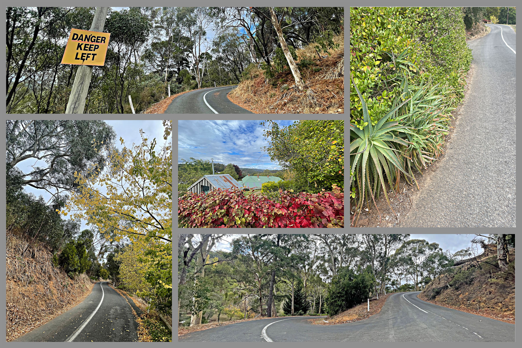 photo collage shows nature views along the way, including large succulents, eucalyptus tree tunnels, and red hedges; road sign reads "Danger Keep Left"