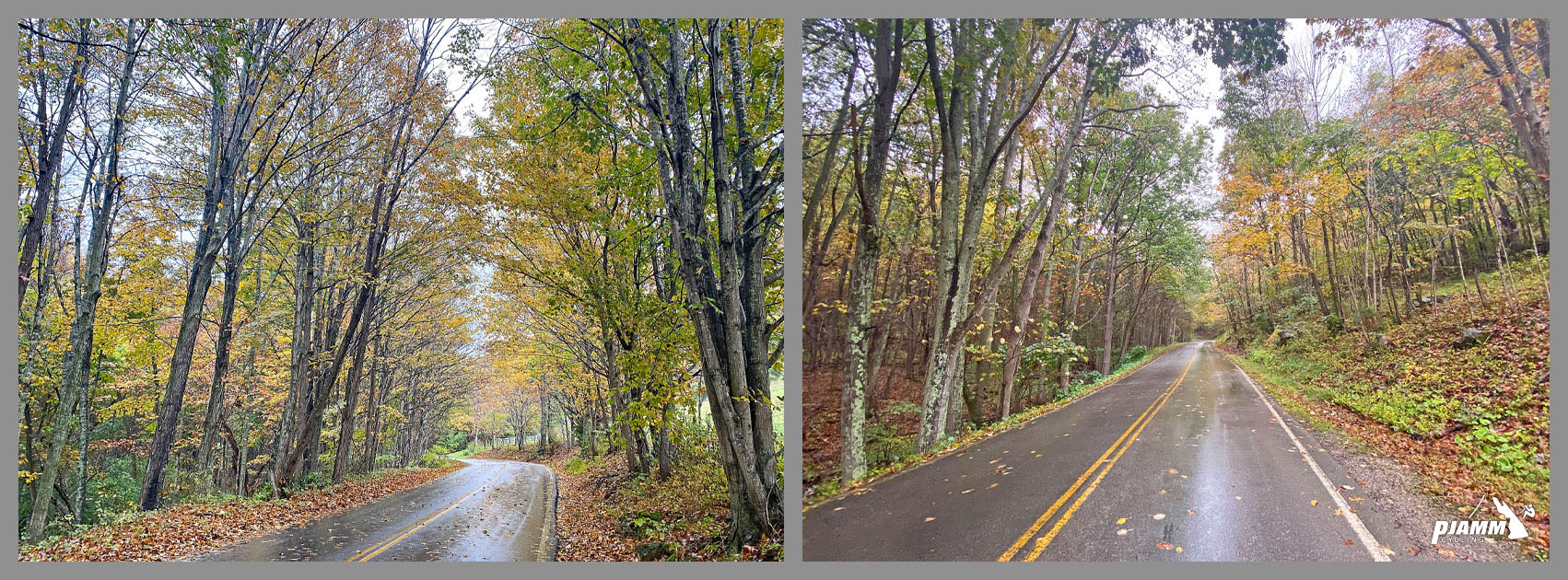 wet, two-lane roadway surrounded by dense fall foliage