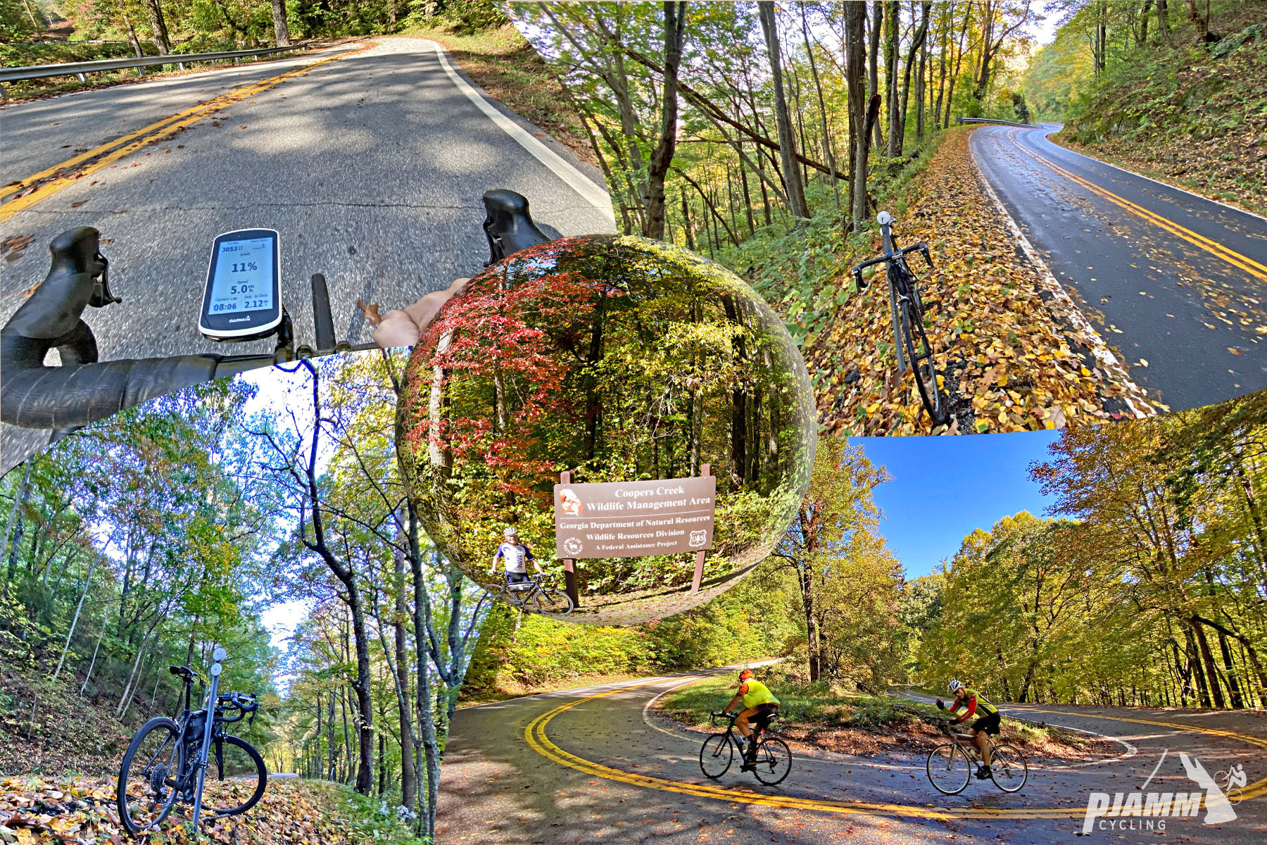 Cycling Wolfpen Gap East, Georgia - photo collage, cyclists climbing U-shaped curve in two-lane raodway, sign for Casper's Creek, Dense fall foliage,  PJAMM Cycling logo in corner