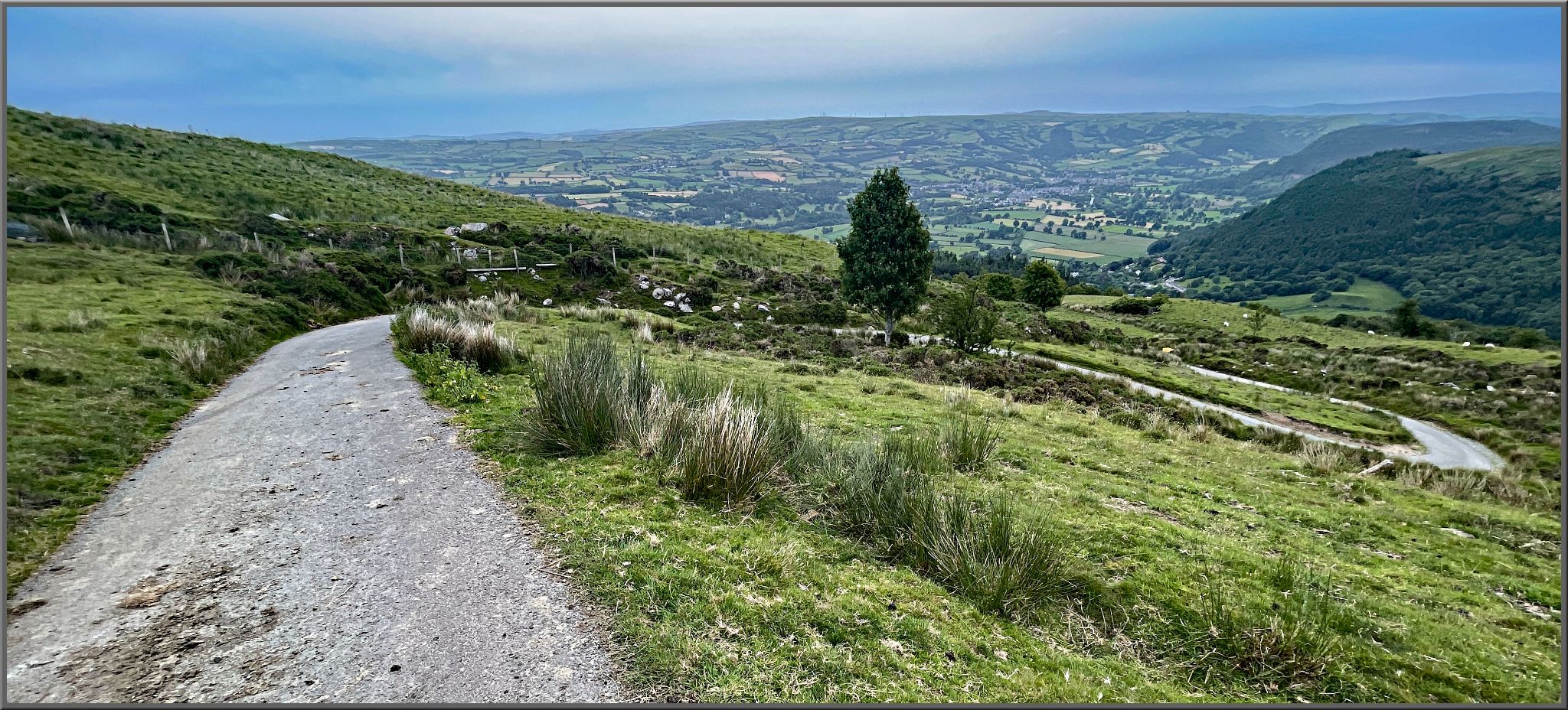 view atop green hillside looking down narrow one-lane gravel roadway 