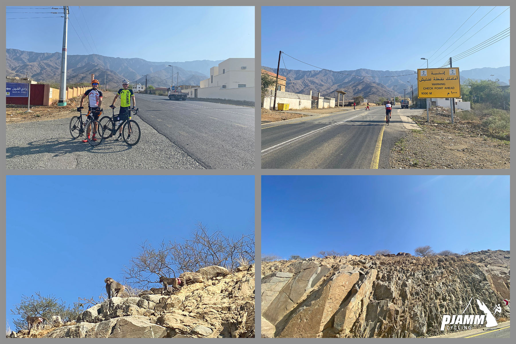 Cycling Sinan Road (Al Meger), Saudi Arabia - photo collage, PJAMM Cyclists stand with their bikes at climb's start, goats can be seen on rocky hillsides 