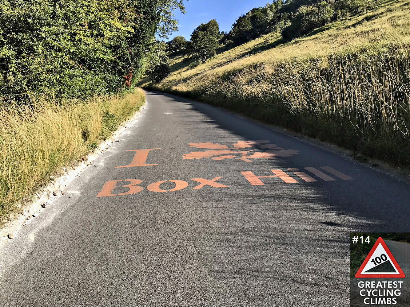 Cycling Box Hill - one-lane roadway with stencil painted on saying "I [oak leaf symbol in place of a heart] BOX HILL", lined with dense tall grasses