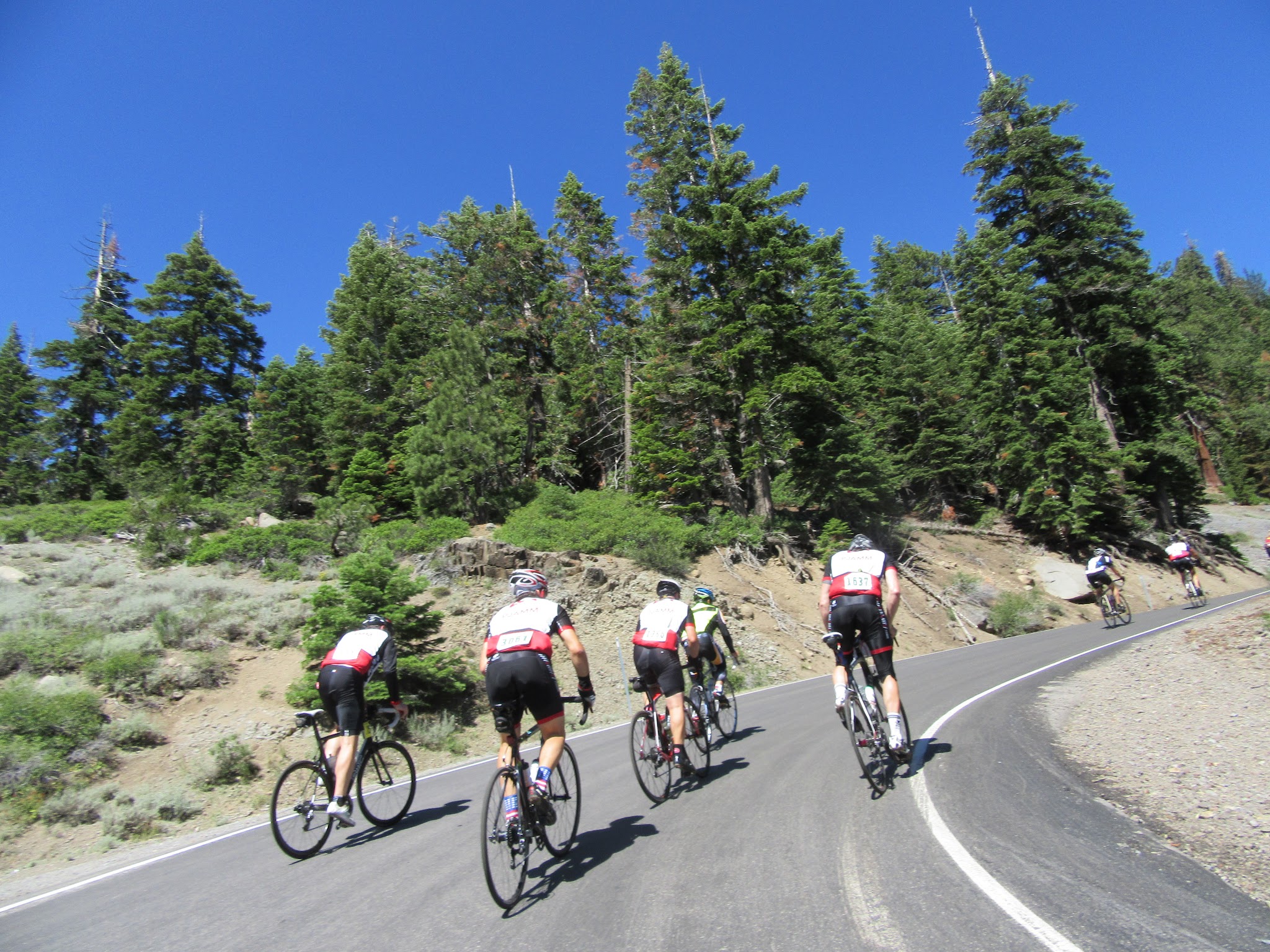 Ebbetts Pass East PJAMM Cyclists climb on Ebbetts Pass East, the steepest segment of the Death Ride