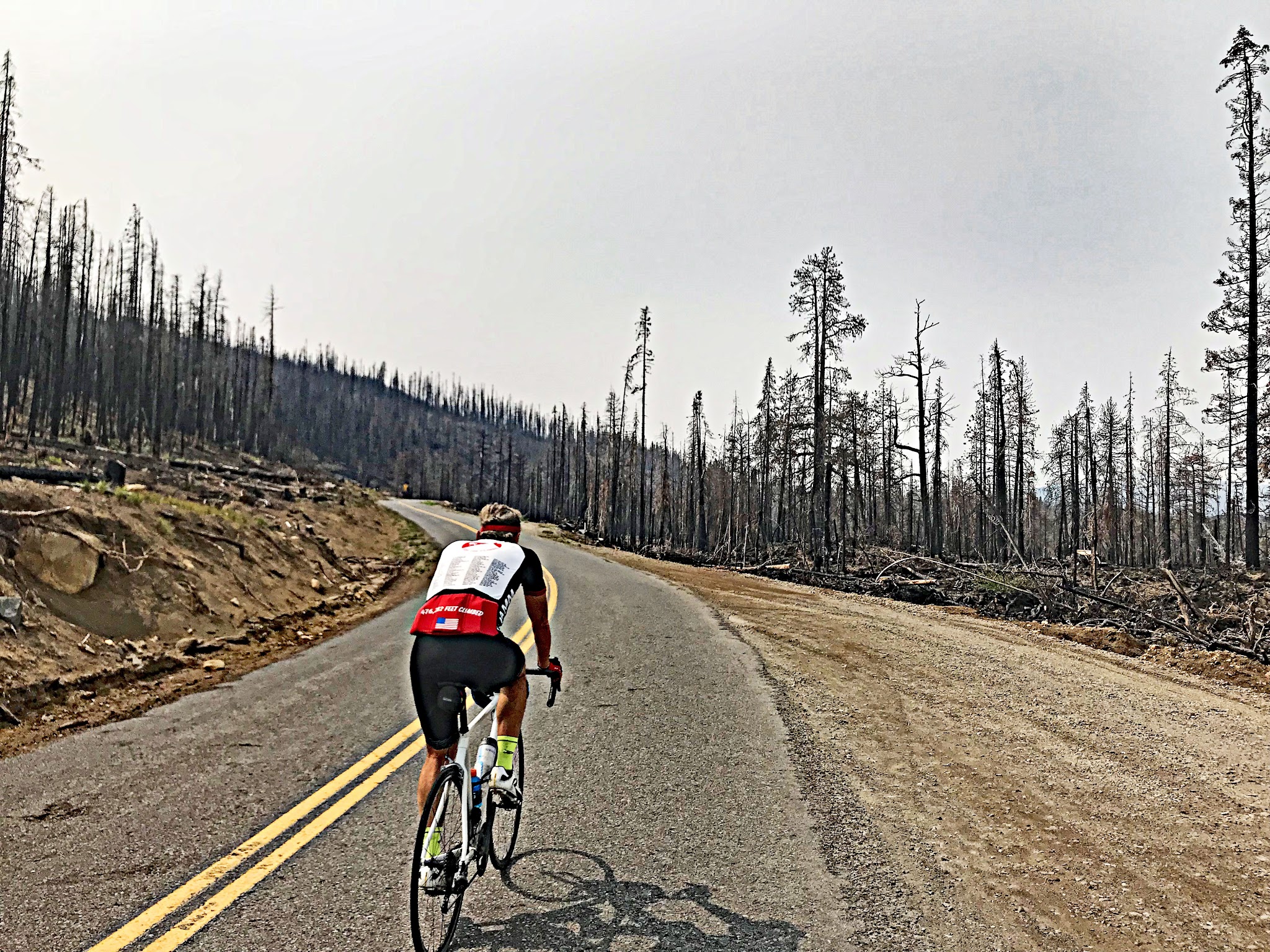Climbing Mckenzie Pass East by bike - road bike cyclist cycling, pine forest