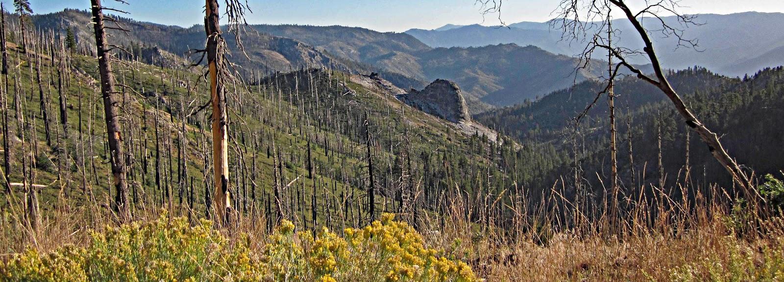 Cycling Top 10 California Bike Climbs - Sherman Pass - cyclist on bike on road