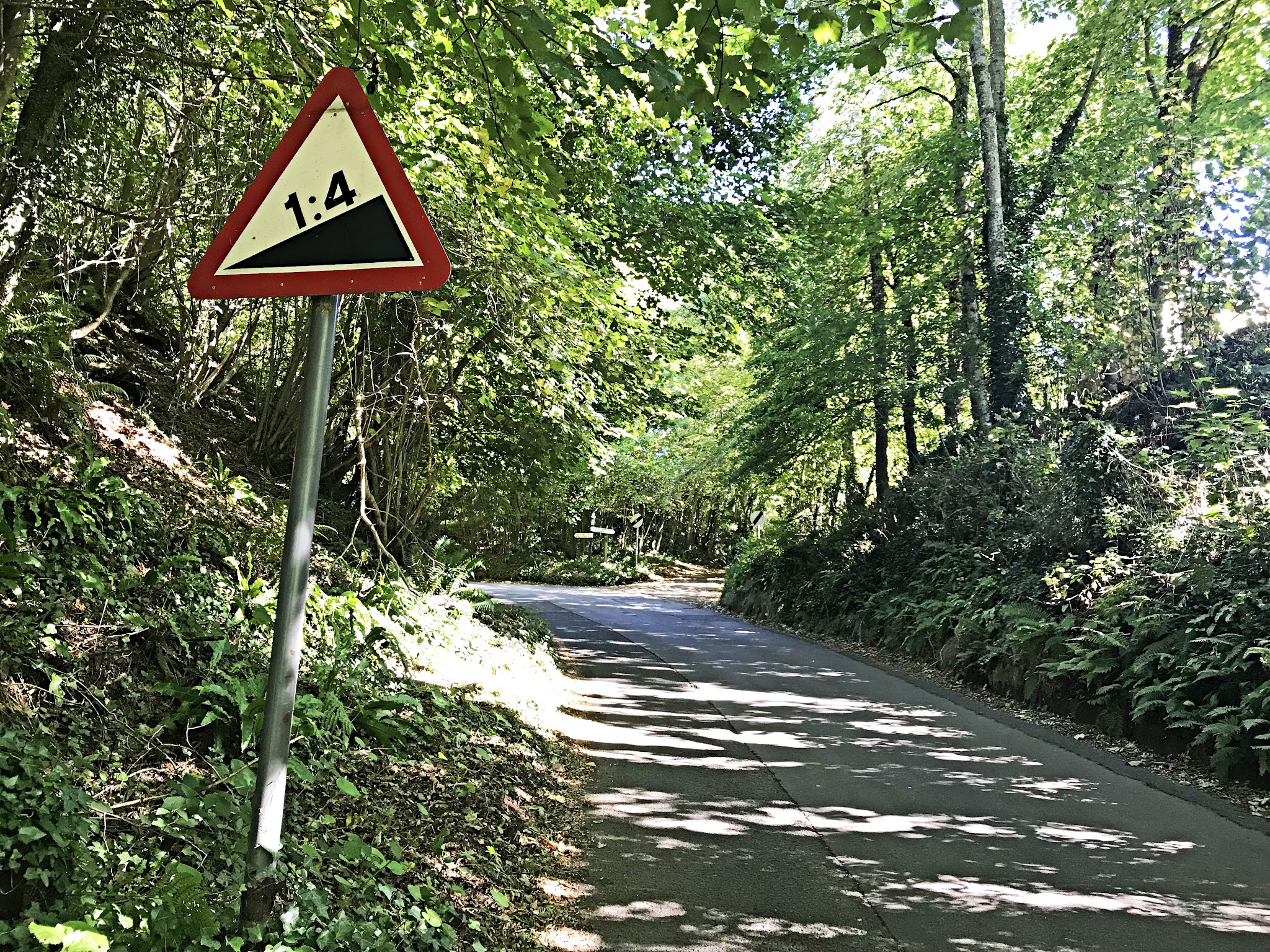 Climbing Crowcombe Comb, Somerset - road gradient sign noting 1:4, dense tree cover along narrow one-lane roadway