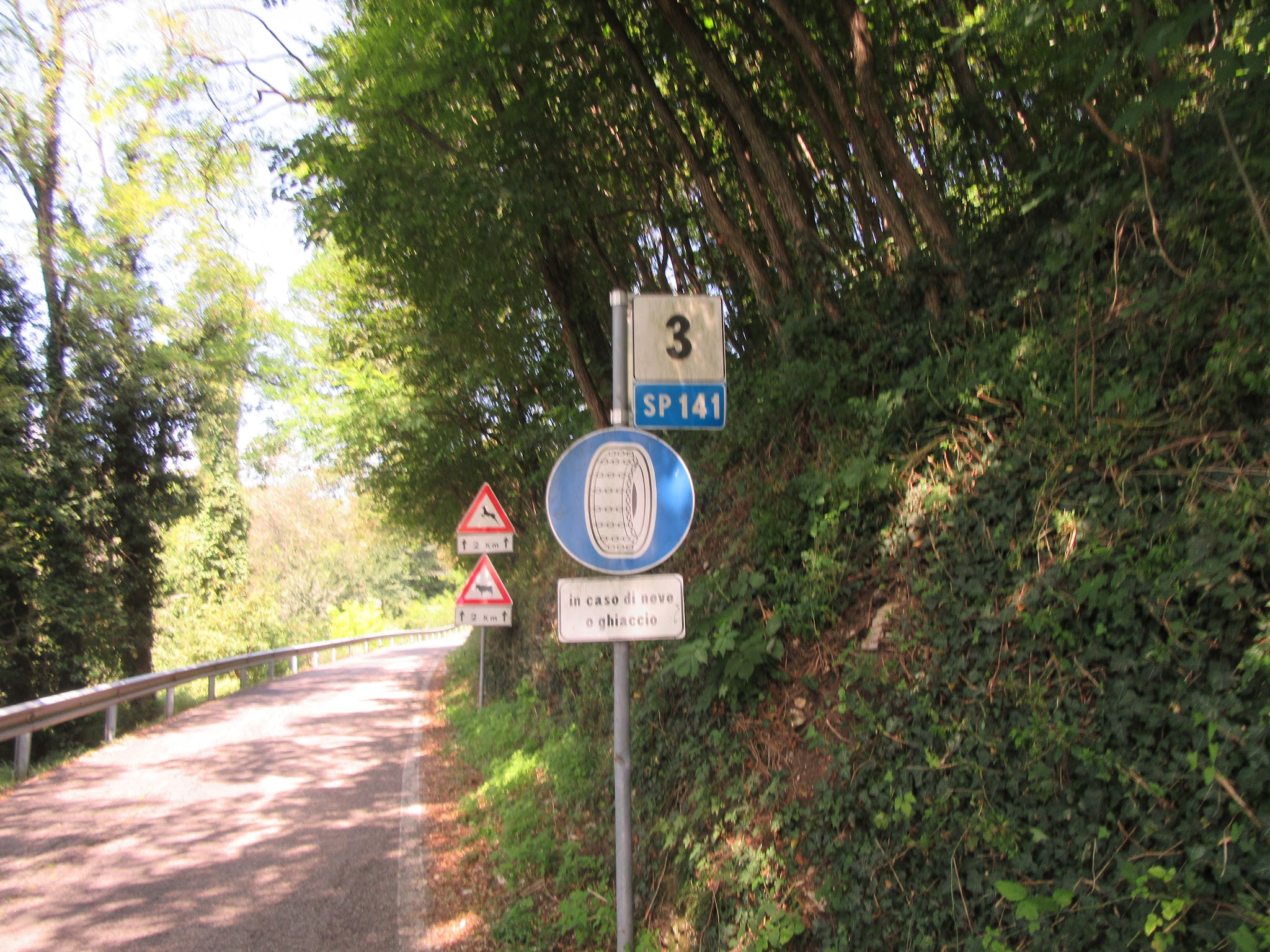 Biking Monte Grappa from Possagno - SP 141 sign and roadway