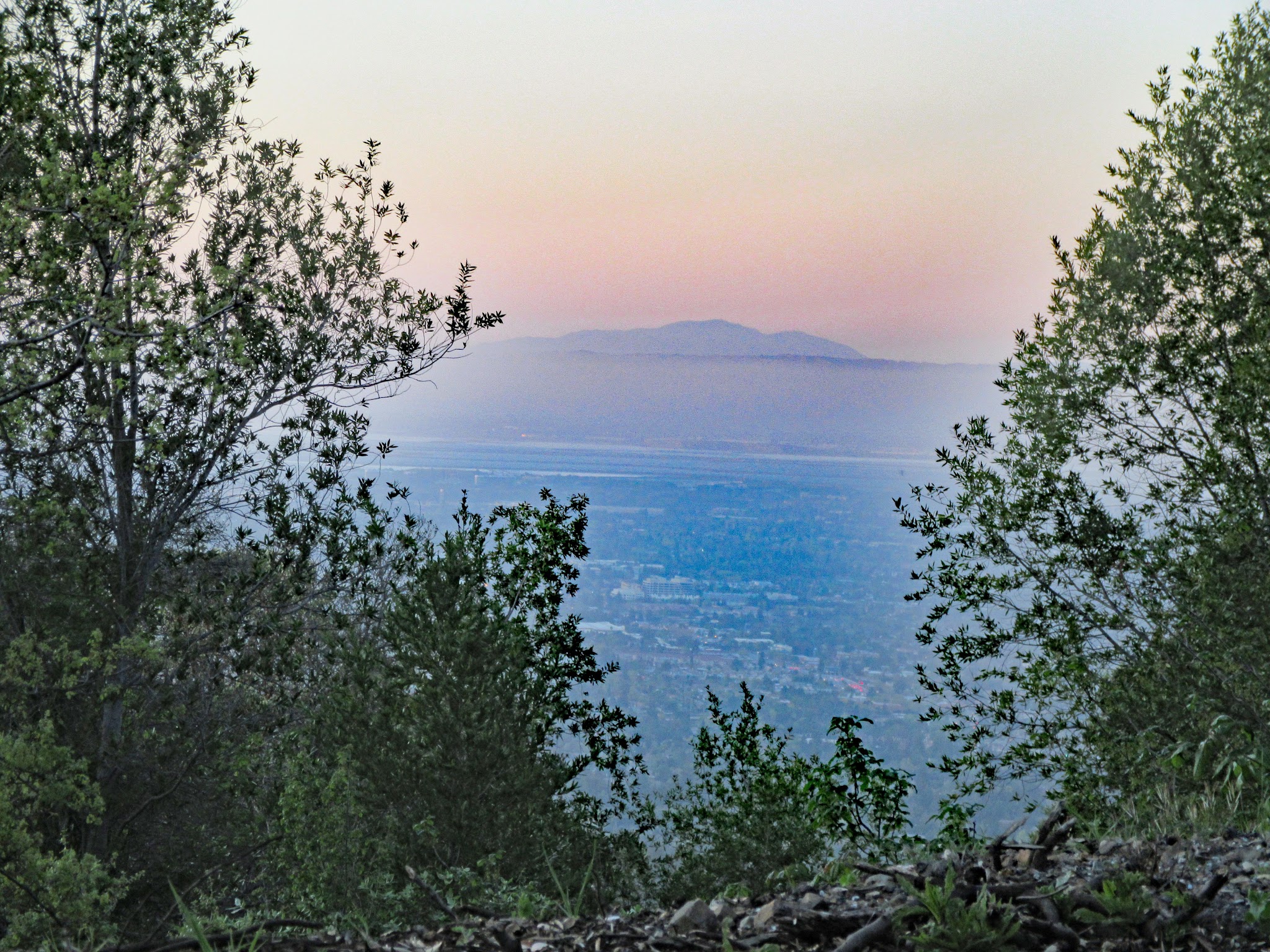 Climbing Bohlman Road by bike - view of Santa Clara Valley through trees