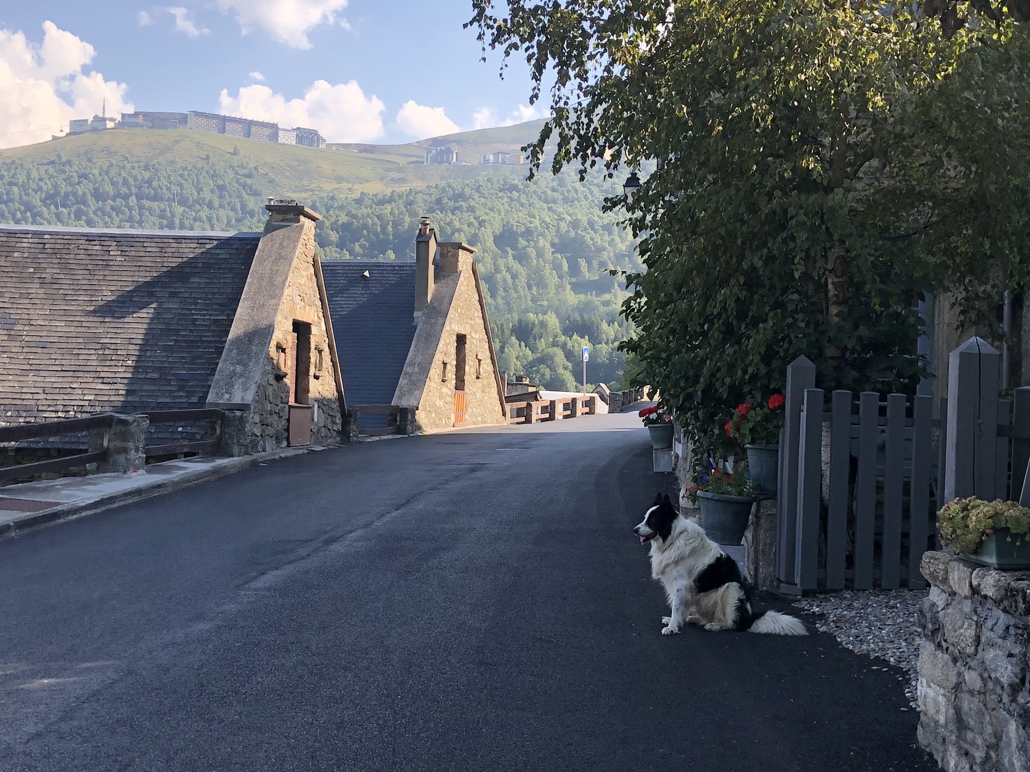 Cycling Pla d' Adet - Soulor and dog
