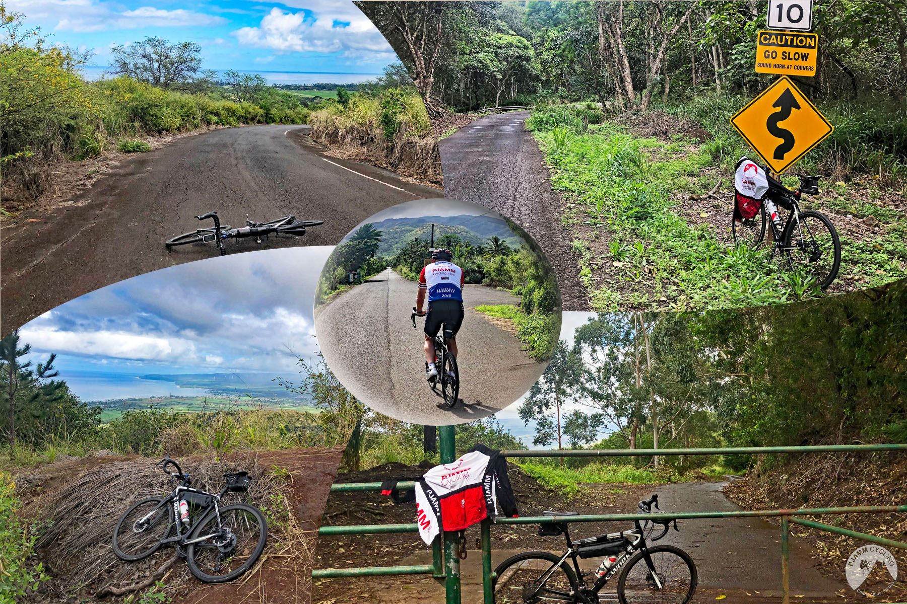 Bicycle ride Round Top Drive - views of Diamond Head and Honolulu 
