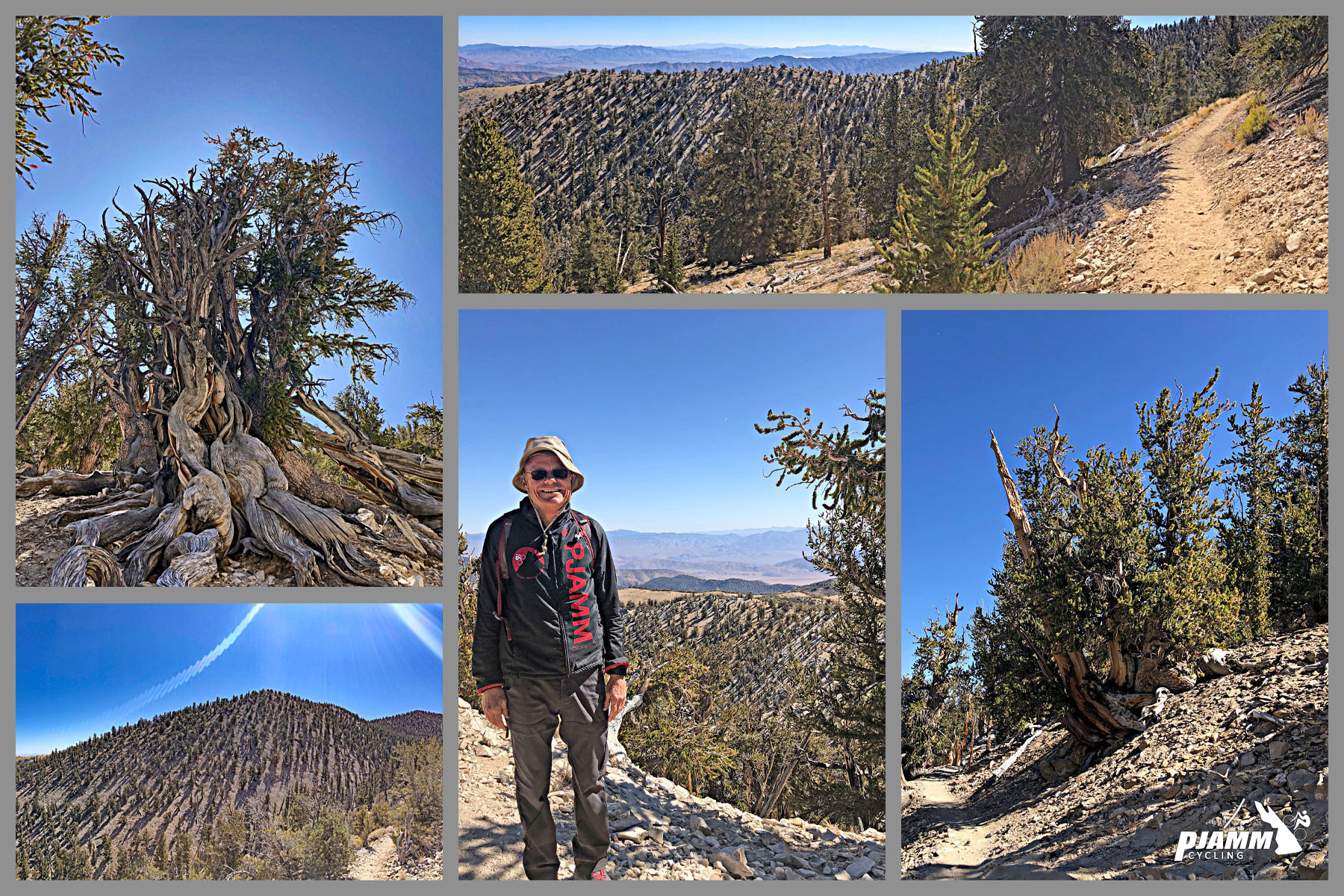 White Mountain Peak from Big Pine, California -  Methuselah Trail views