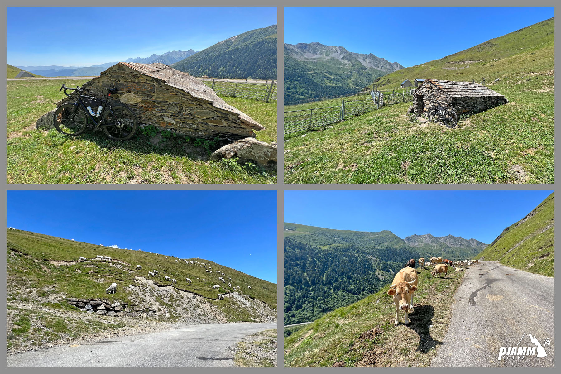 Cycling Col de Portet stone shepherds hut in green pastureland; cows grazing