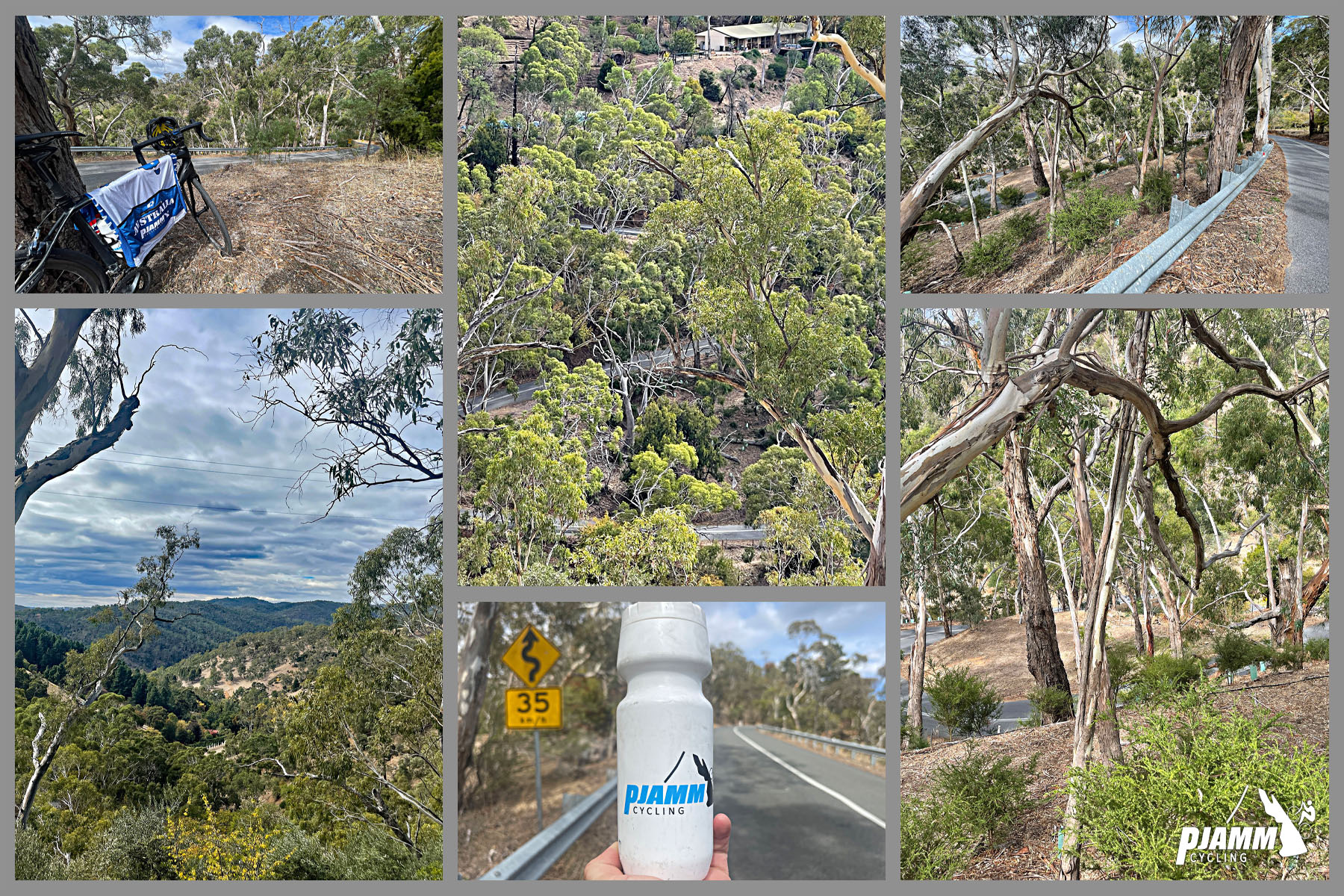 thick vegetation along climb; roadway hidden behind tall trees