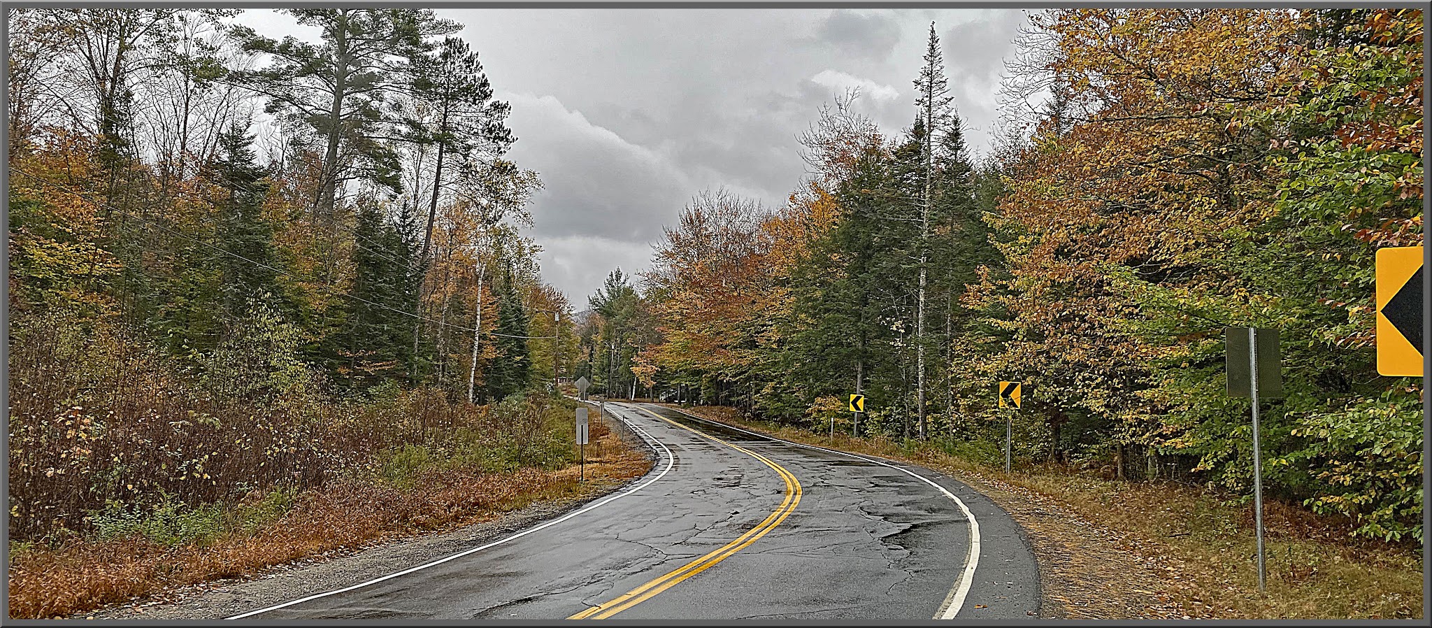 Cycling Route 118 South, New Hampshire - wet, two-lane road surrounded by fall foliage and mist