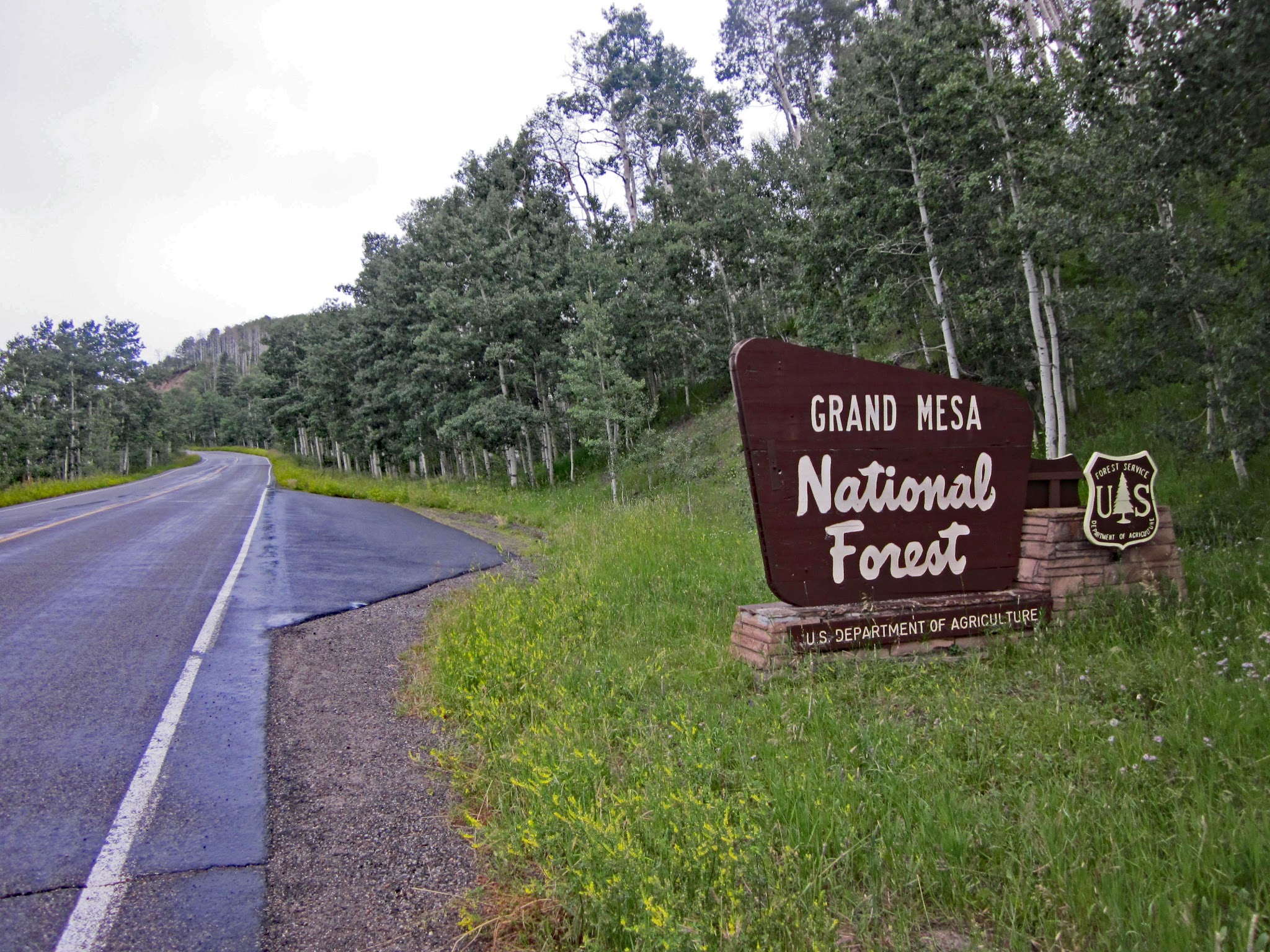 Bike climb of Grand Mesa South - Grand Mesa National Forest sign