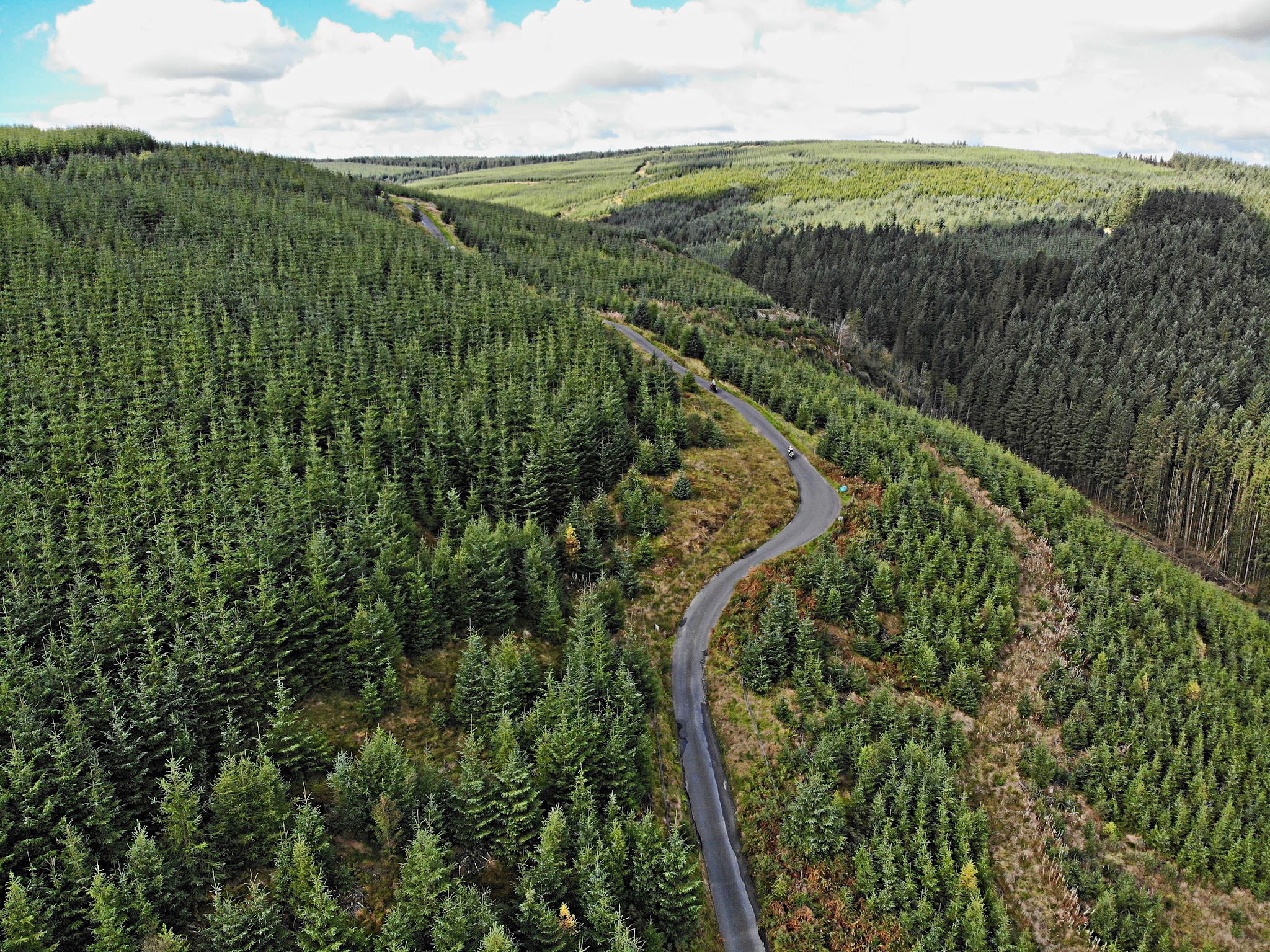 Cycling Devil's Staircase, Wales - aerial view of road winding along hillside covered in very dense evergreen tree forestry on both sides as far as the eye can see