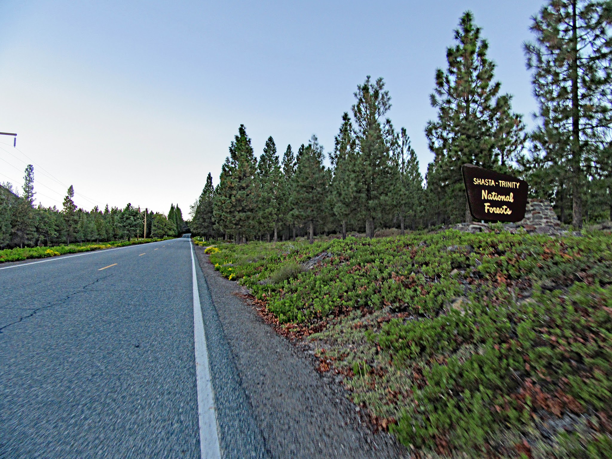 Shasta Trinity National Forest sign