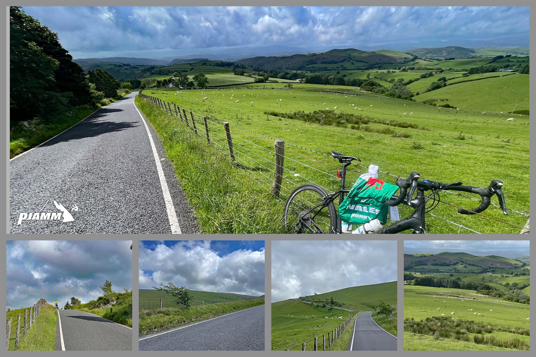 typical views along the climb, one-lane roadway, lush green pastureland, white sheep grazing