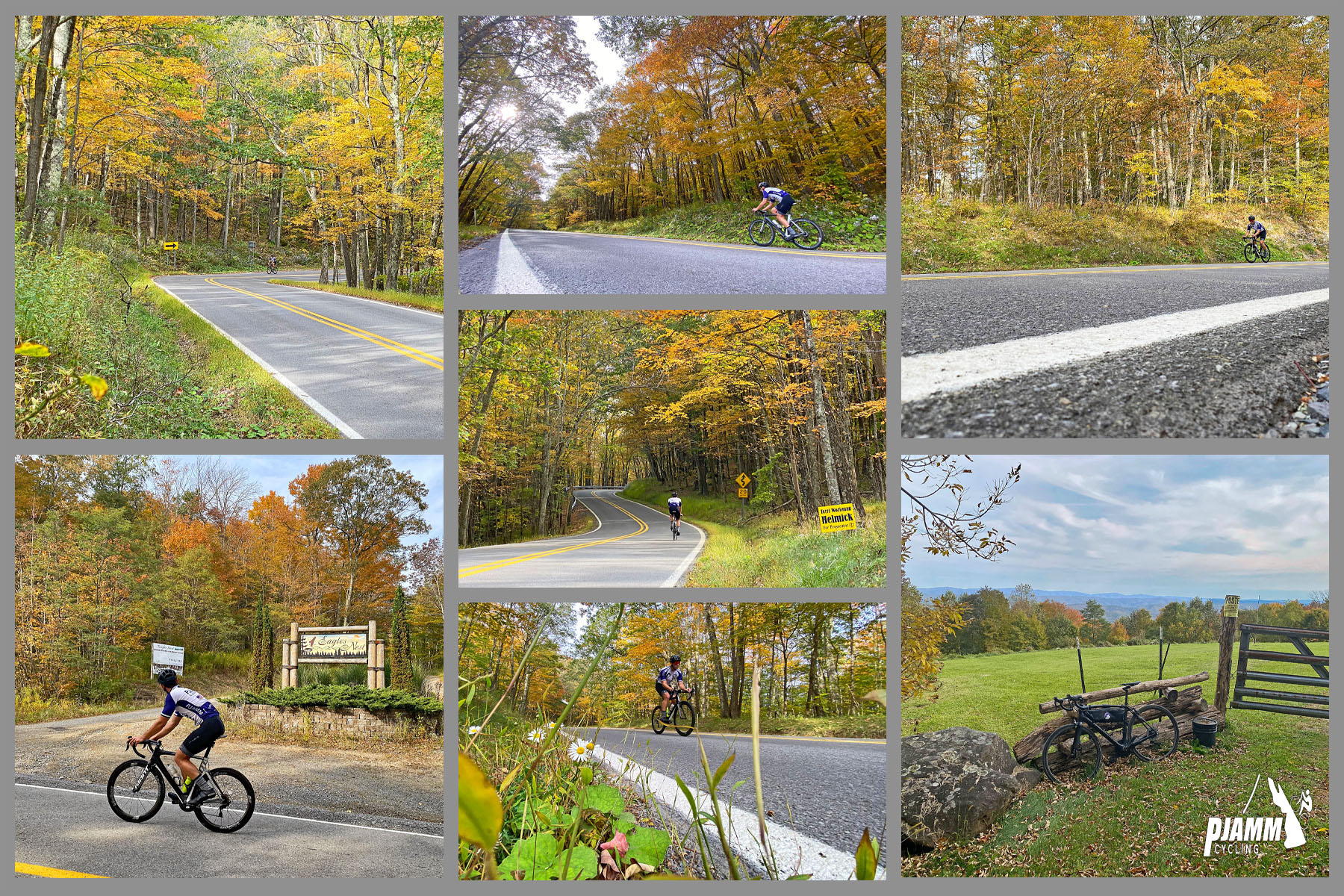 Cycling Snow Shoe Drive East, West Virginia - dense fall foliage along middle third of climb