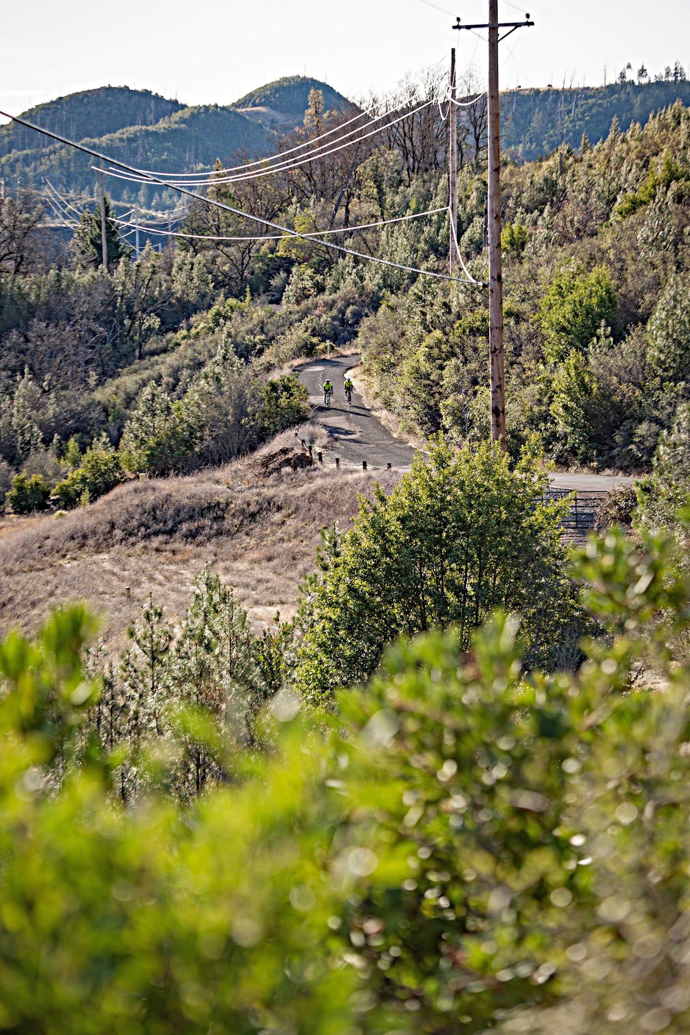 Bicycle climb of Pine Flat Road - cyclist on the roadway on bikes with road and power lines