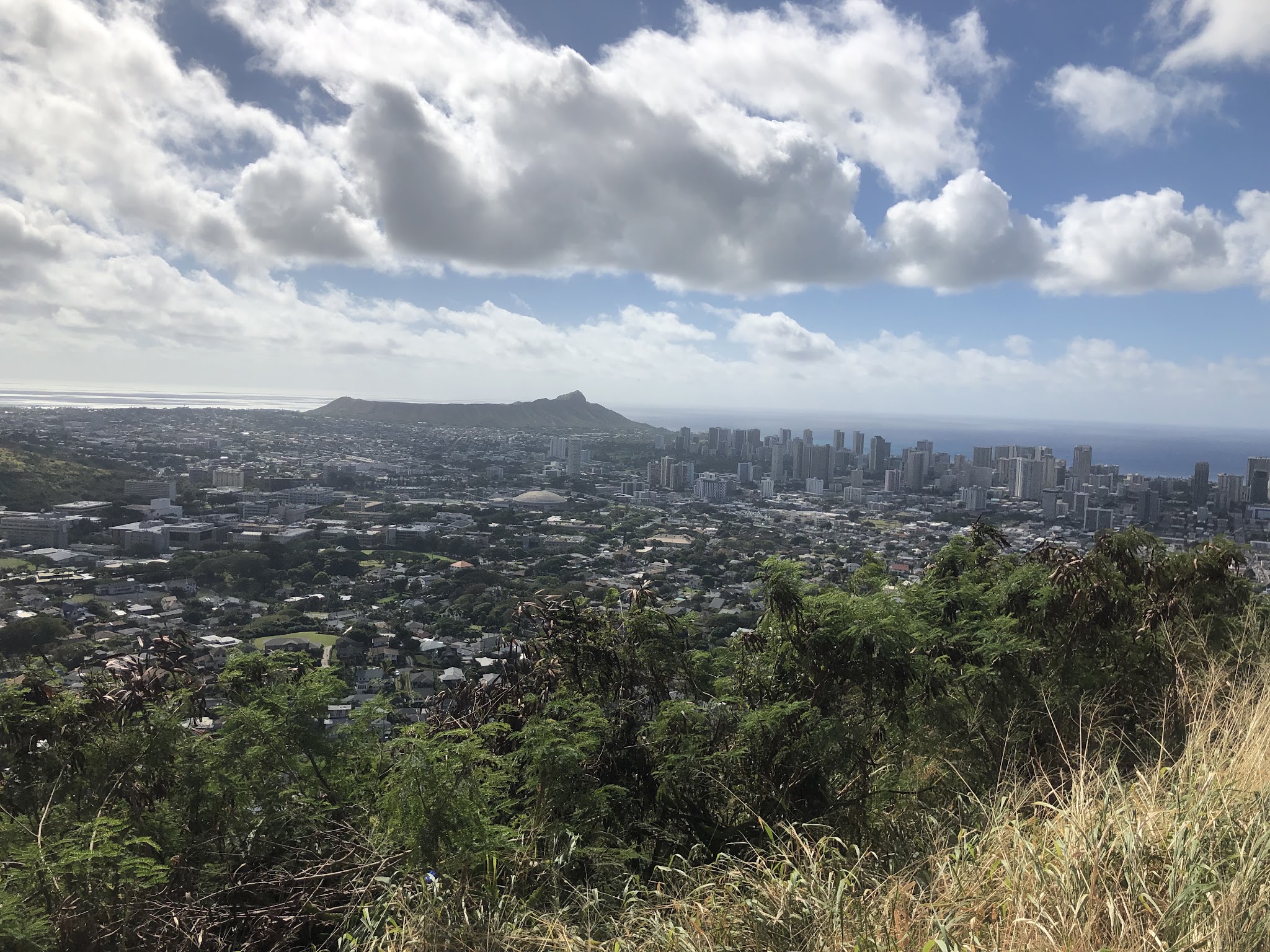 Bicycle ride up Round Top Drive - view of Honolulu and Diamond Head from viewpoint. 