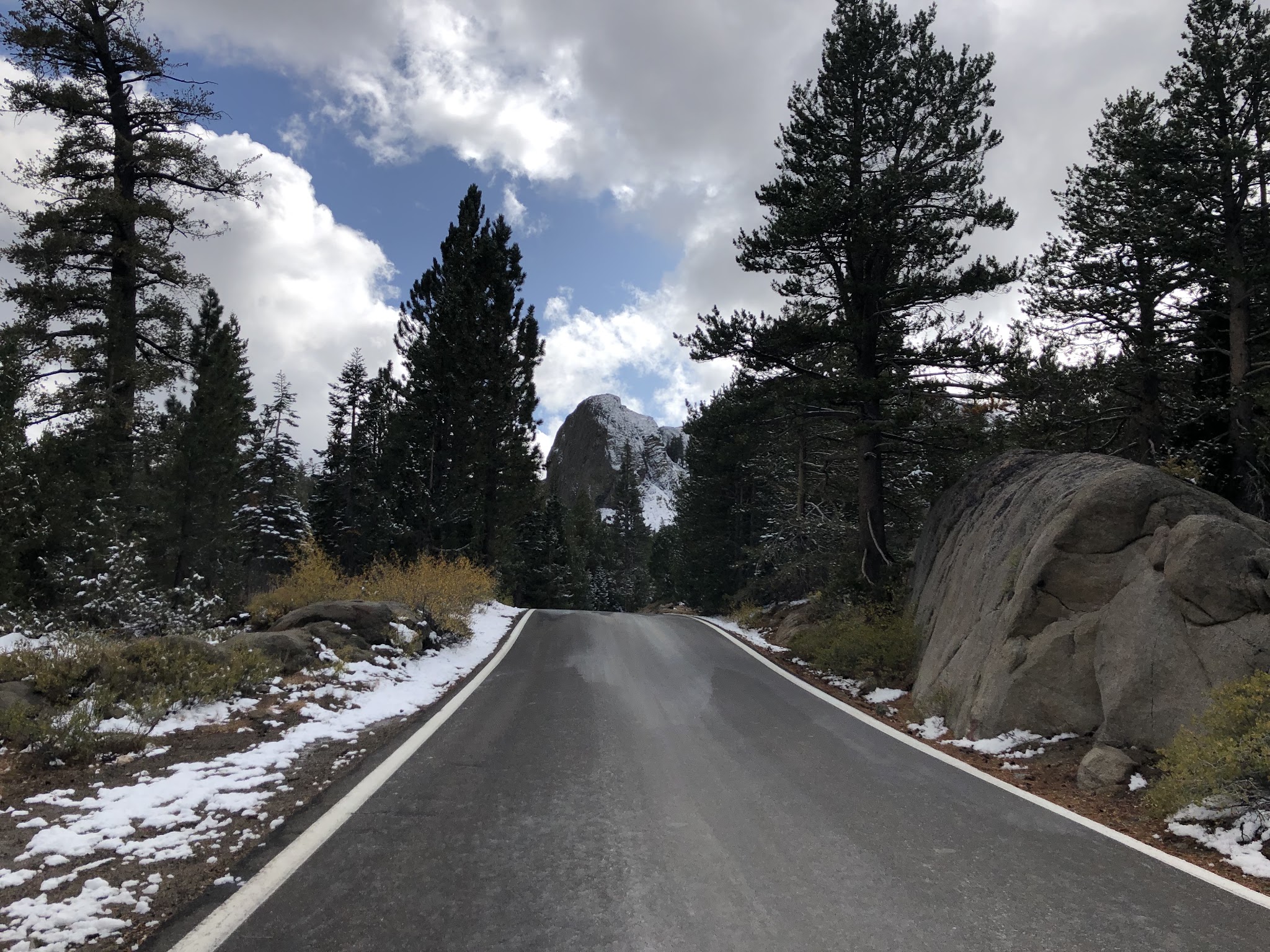 climbing Ebbetts Pass by bike - road and mountain with trees