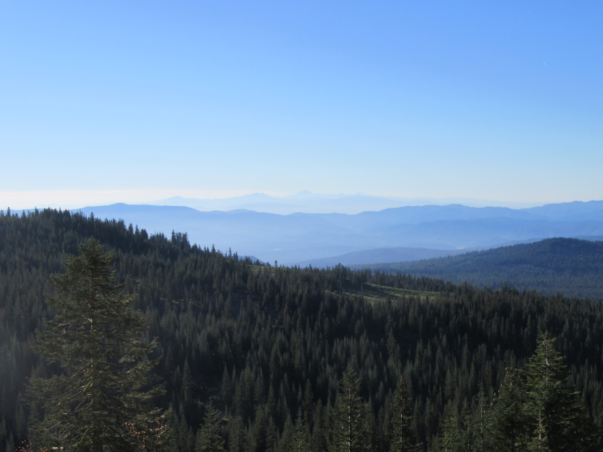Sweeping views of the mountain range and evergreen tree forests