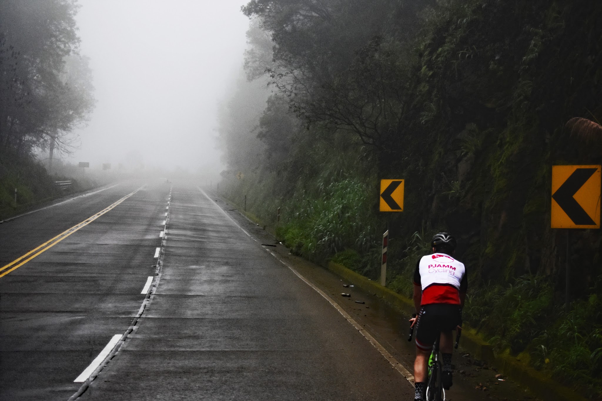 Cycling top world bike climb La Muerta, Ecuador, cyclist on road surrounded by forest.
