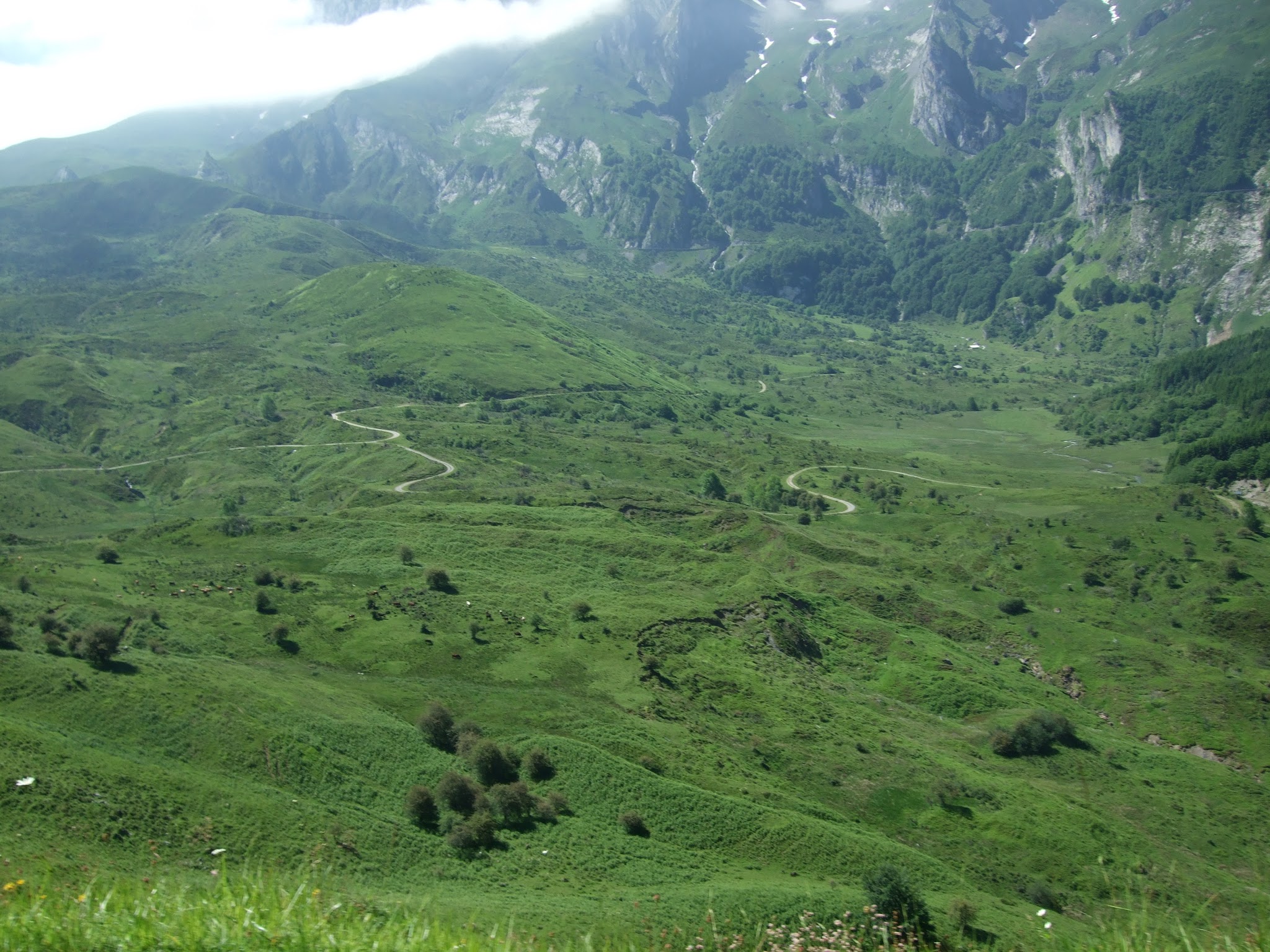 Biking Col du Soulor from Ferrieres - forest and roadway leading to col
