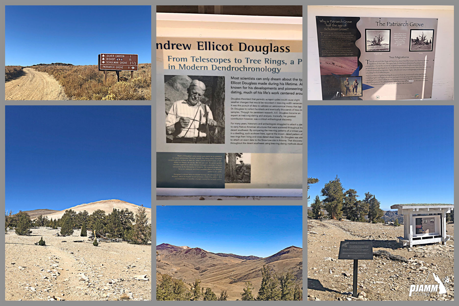 White Mountain Peak from Big Pine, California - Patriarch Grove