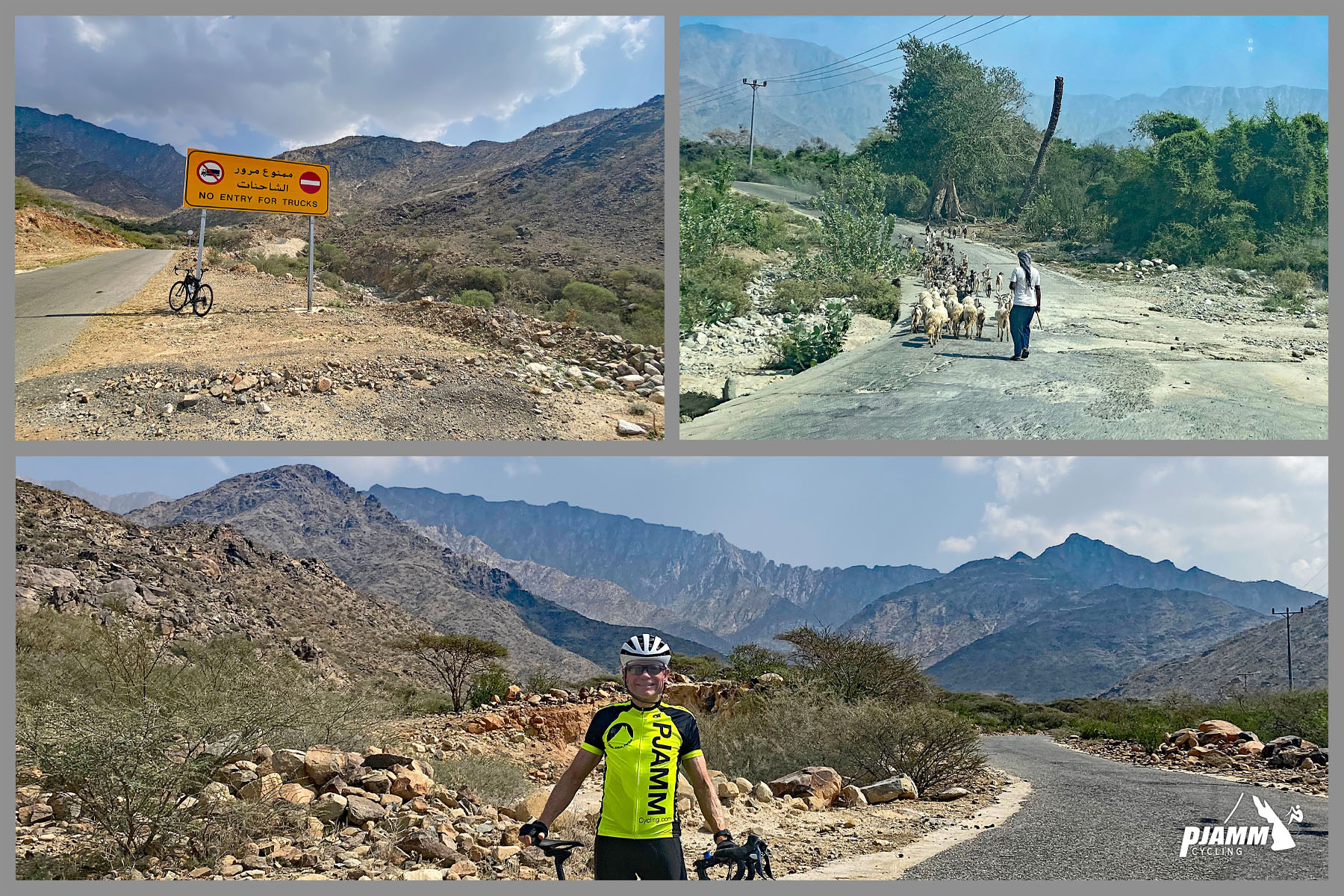 Cycling Almdan Pass, Saudi Arabia - photo collage, Climb's start, bike parked next to yellow roadsign, PJAMM Cyclist John Johnson smiles with bike at the beginning of the climb, goat herder walks behind goats on roadway