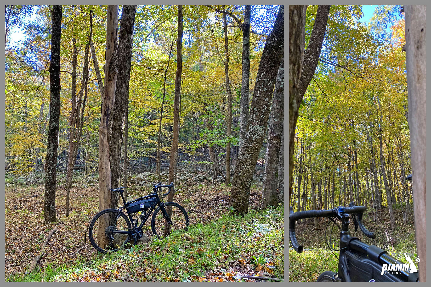 Cycling Spruce Knob, West Virginia - photo collage, bike parked against tall skinny tree trunks in yellow-topped forestation along roadside, PJAMM Cycling logo in corner